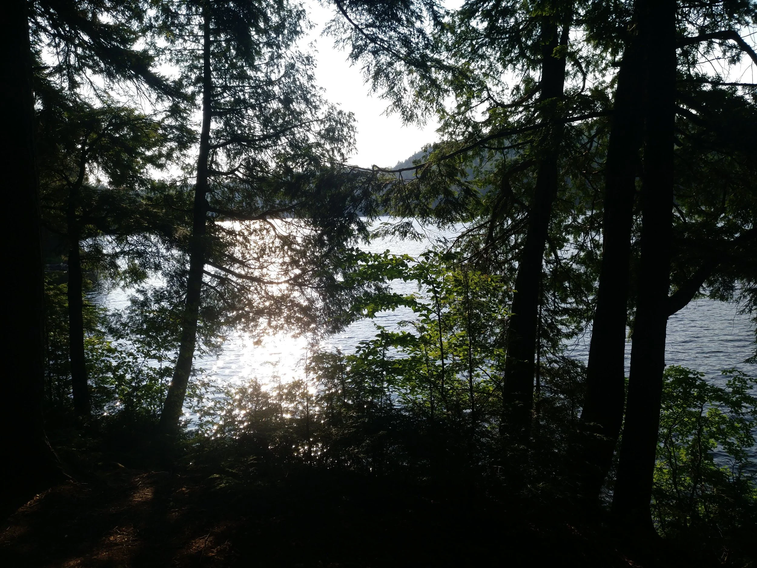 IMG_20190726_181446.jpg
