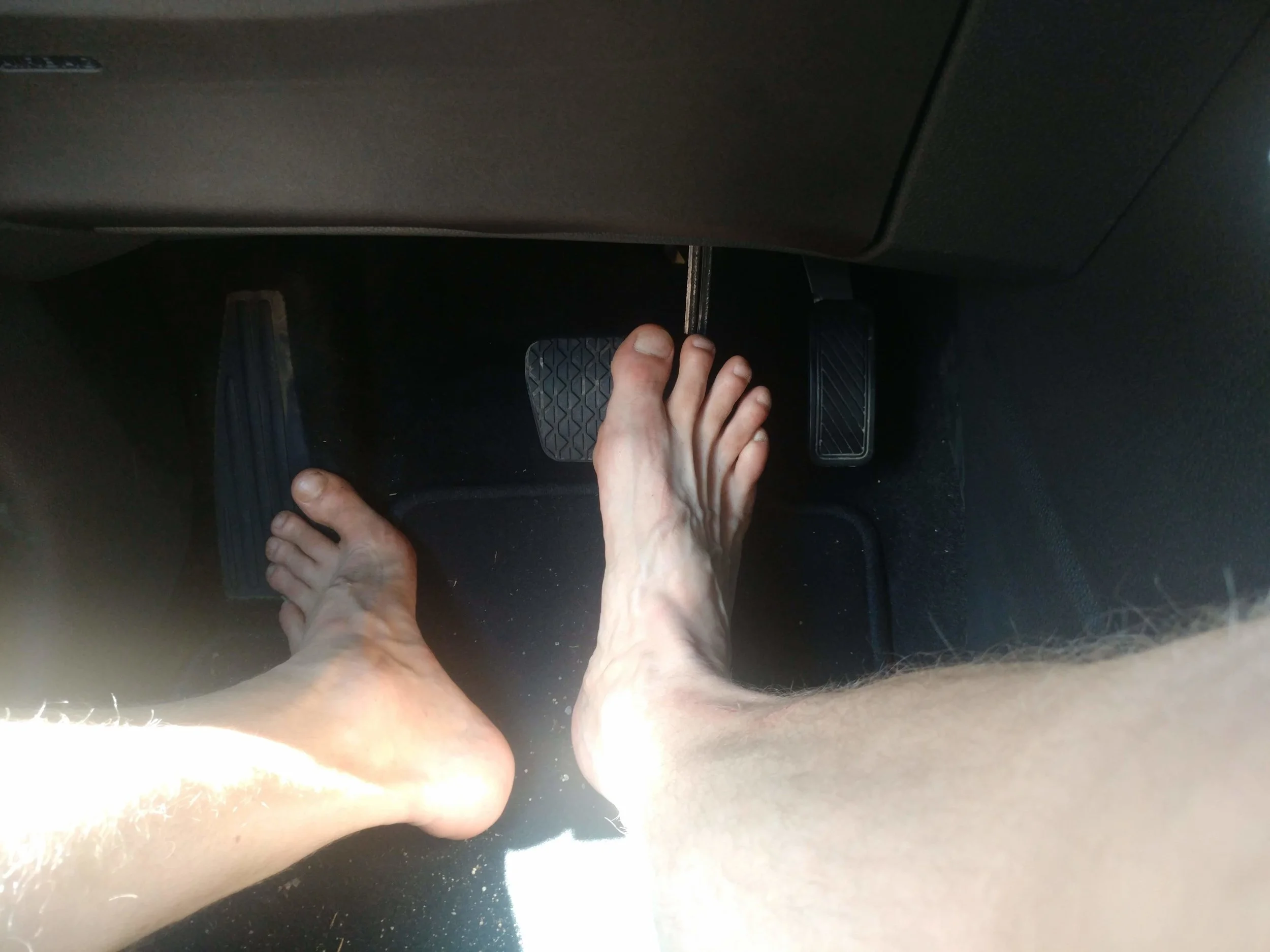 IMG_20190728_123632.jpg