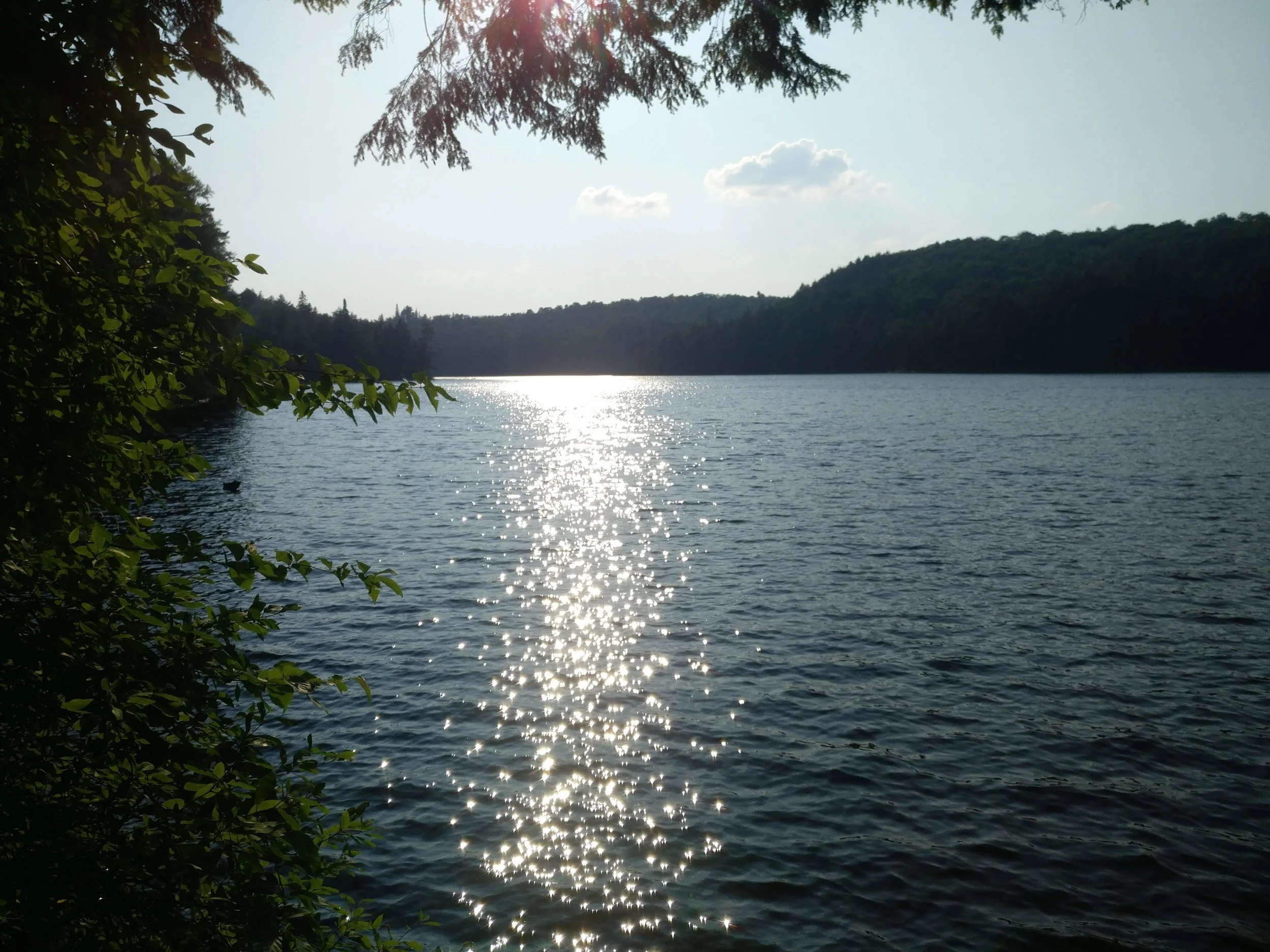 IMG_20190726_181510.jpg
