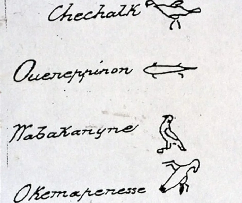 Untitled design (2).jpg