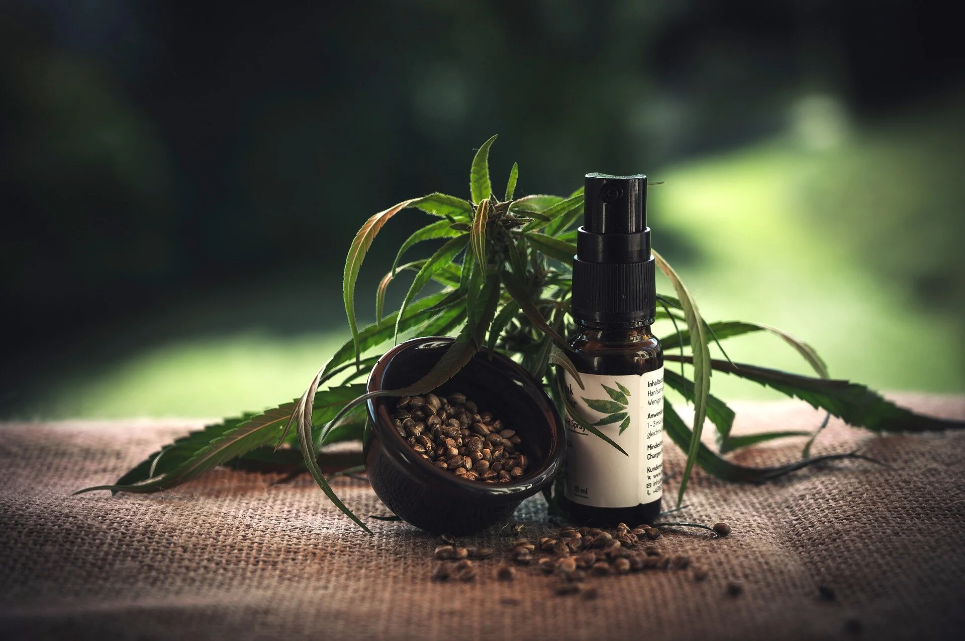 6 Interesting Facts About CBD