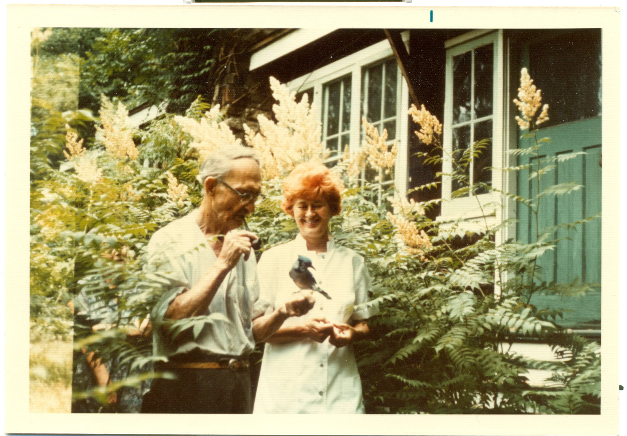 The history of Mississauga's Windinglane Bird Sanctuary