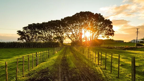 6 Benefits of Living in the Country
