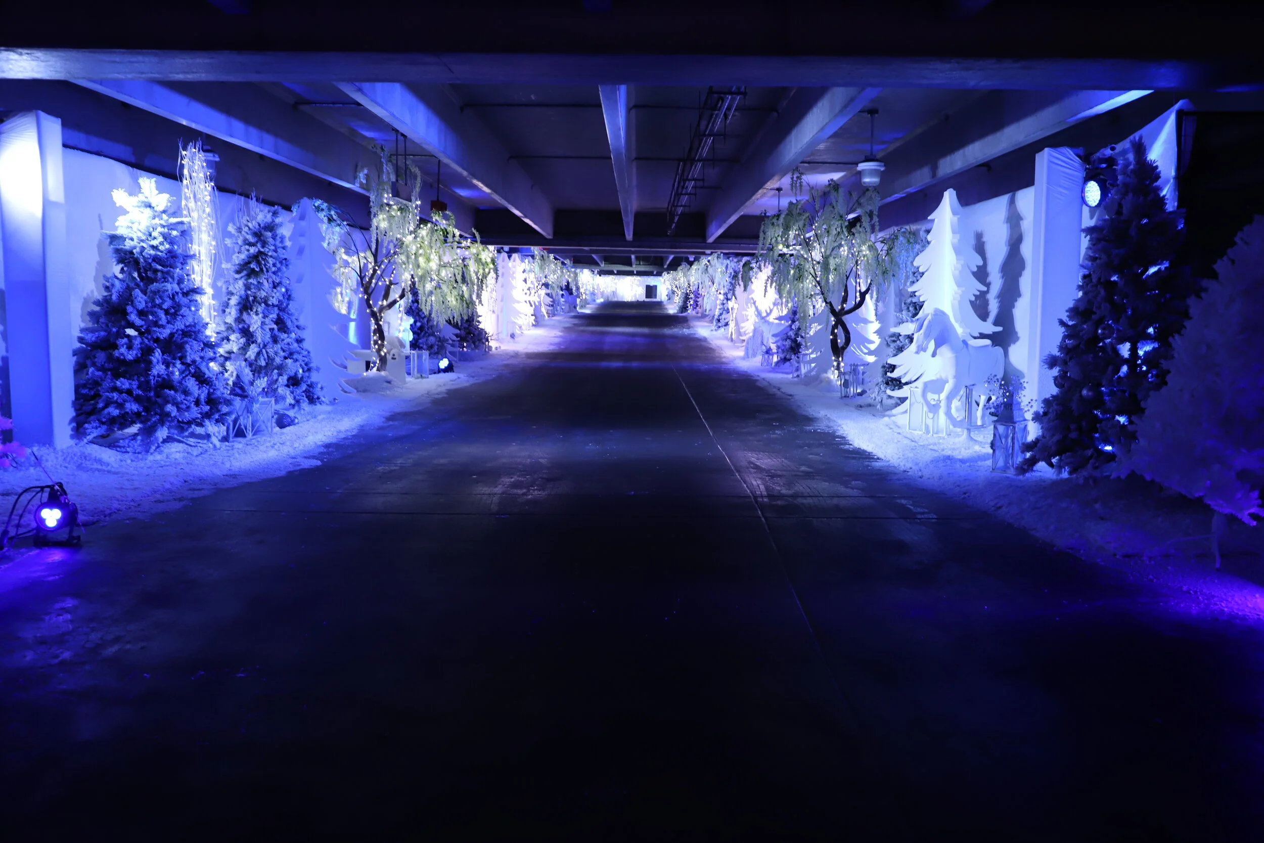 Learn about Mississauga's new and exciting "Polar Drive-Through" Holiday experience