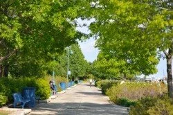Modern Mississauga presents Ask The City - What trails along the water can I access in Mississauga?