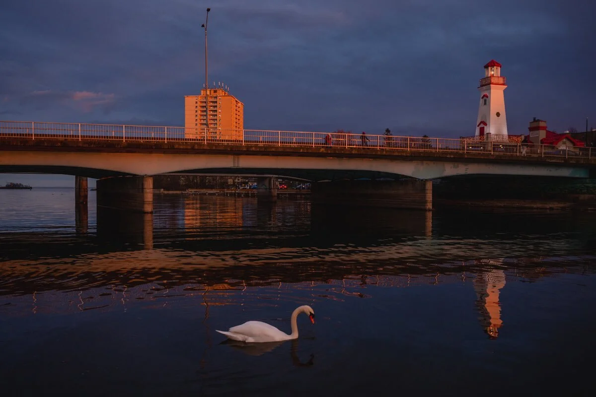 Mississauga Celebrates Tourism Week 2021