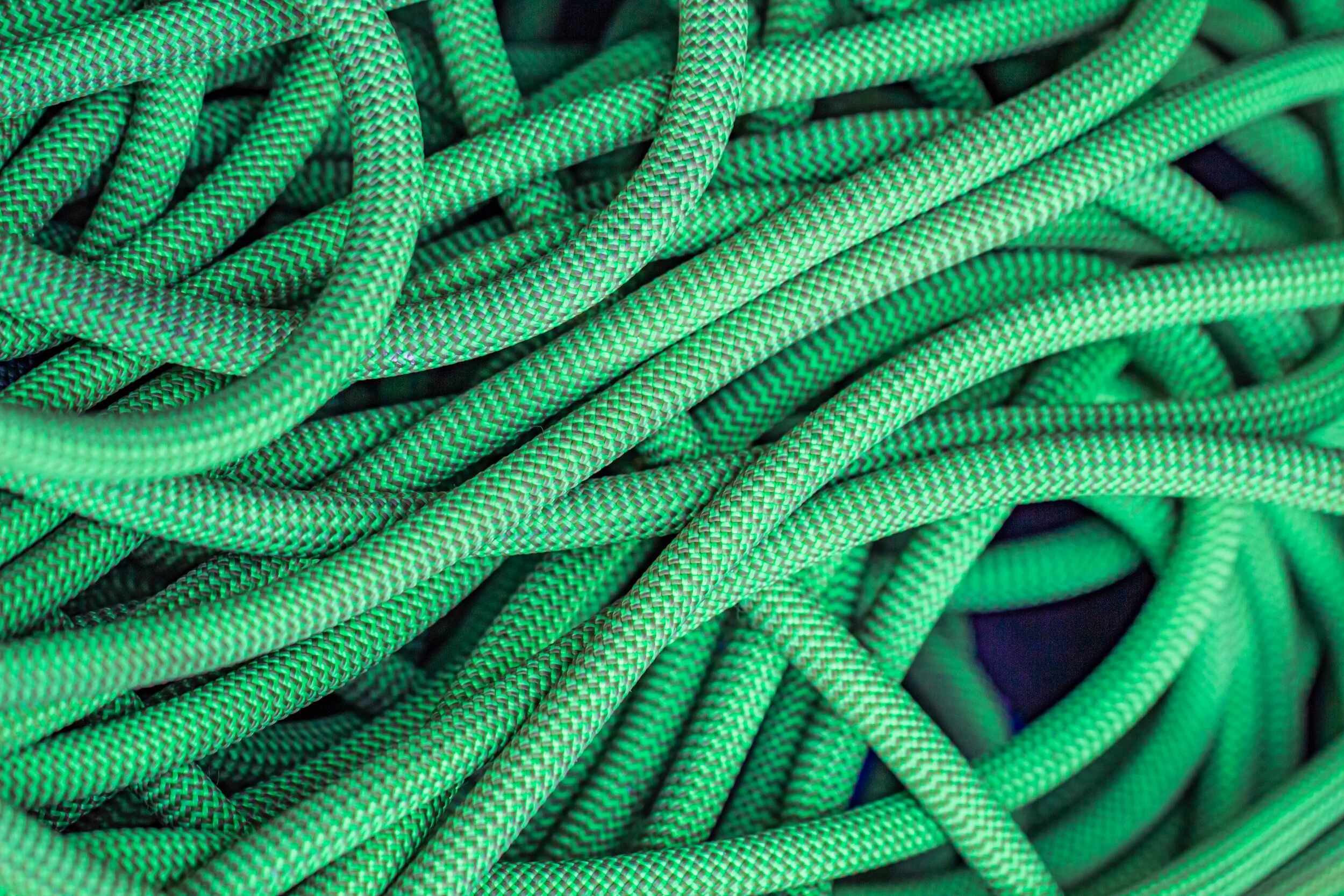 Expert Tips for Buying a High-Quality Hose Reel