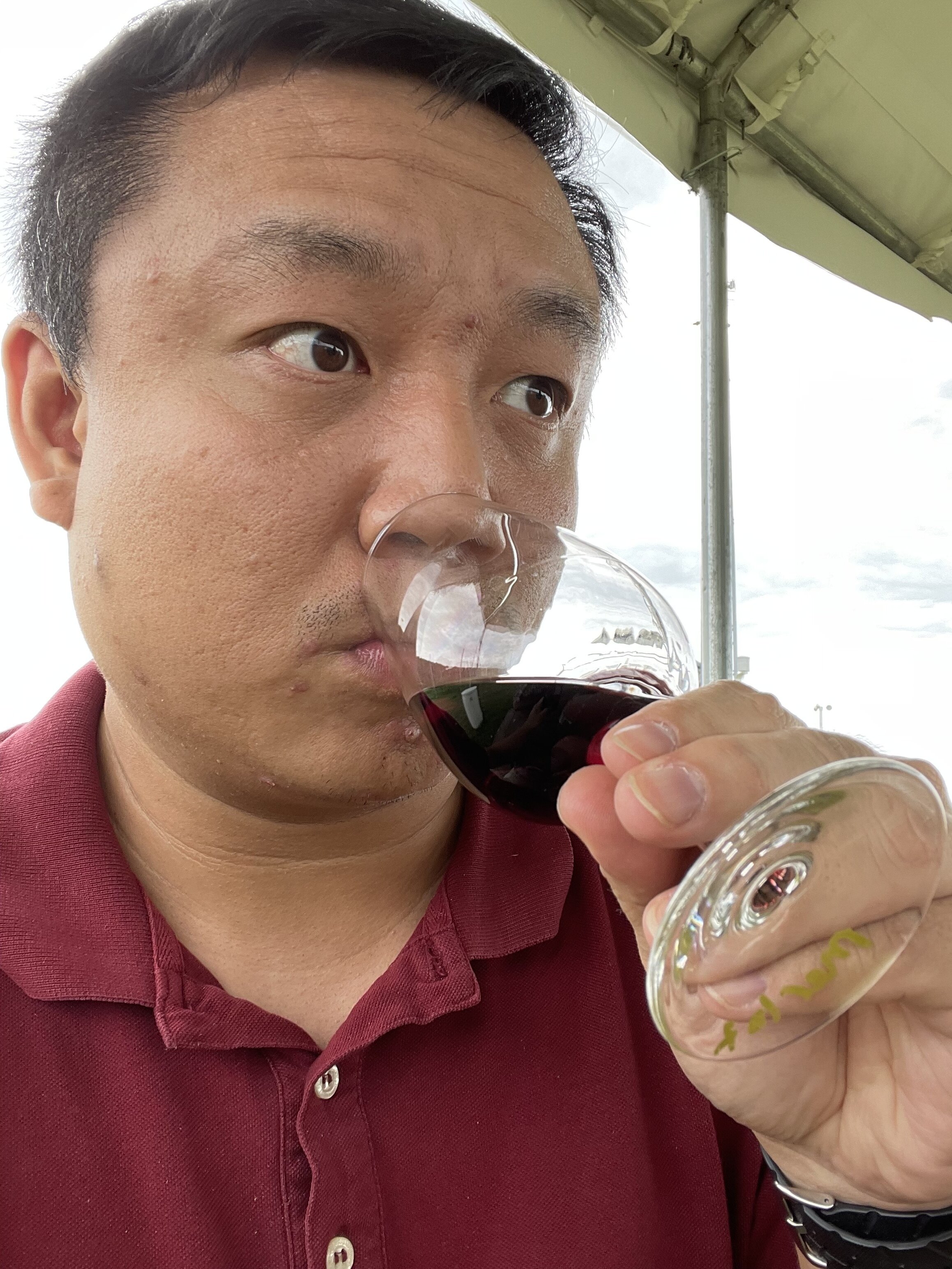 Teaching Winery Modern Mississauga Media 2.JPG