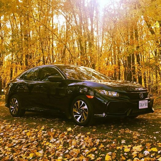 4 key things to remember as driving routines rev up this autumn in Ontario