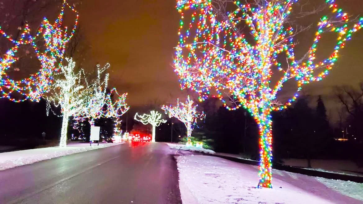 Fun and Festive Family Events in and around Mississauga for 2021