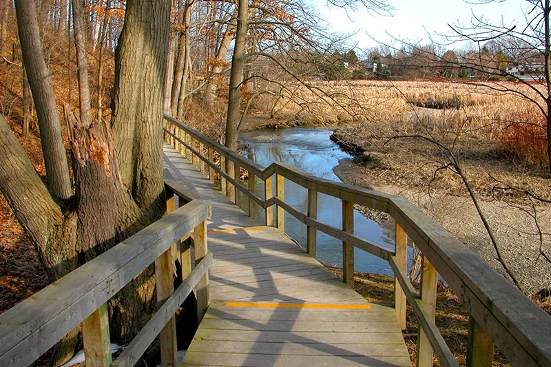 Former Councillor Patricia Mullin to Fill Vacant Ward 2 Councillor Role Formerly Held By Karen Ras