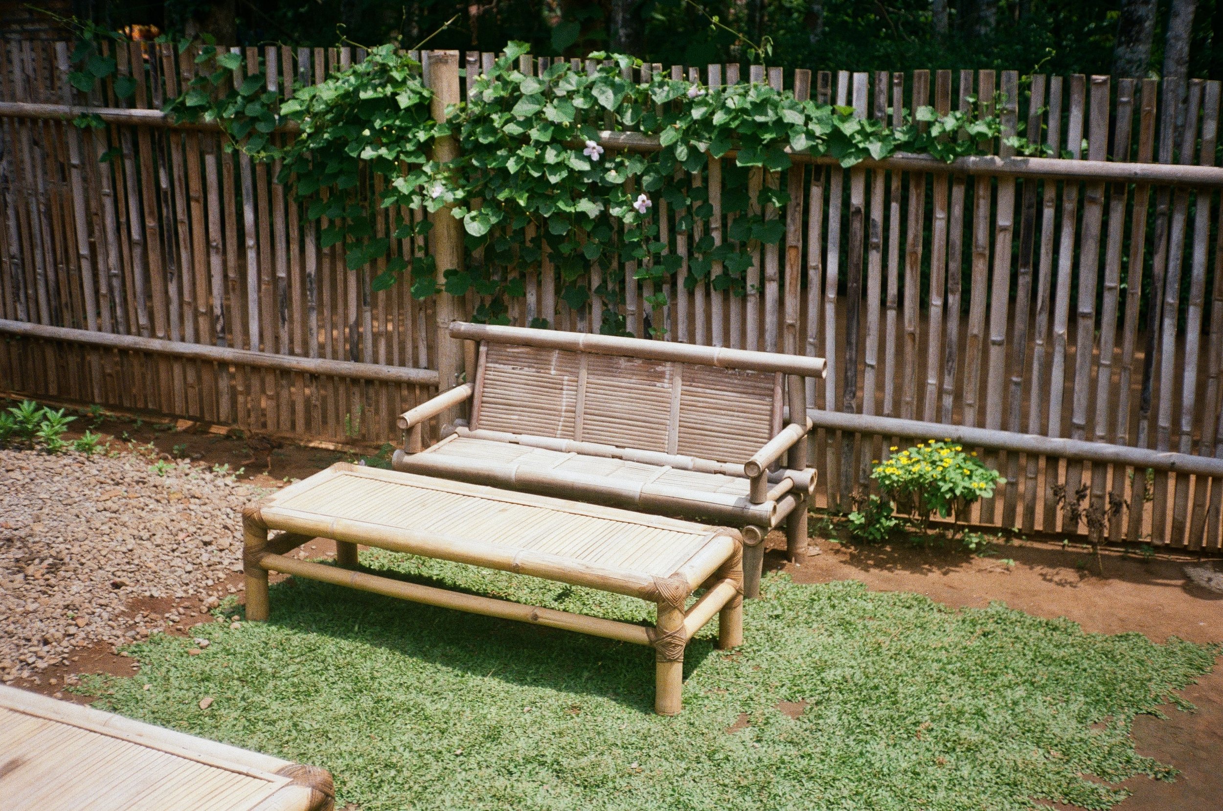 Top Reasons To Use Bamboo-based Products In Everyday Life