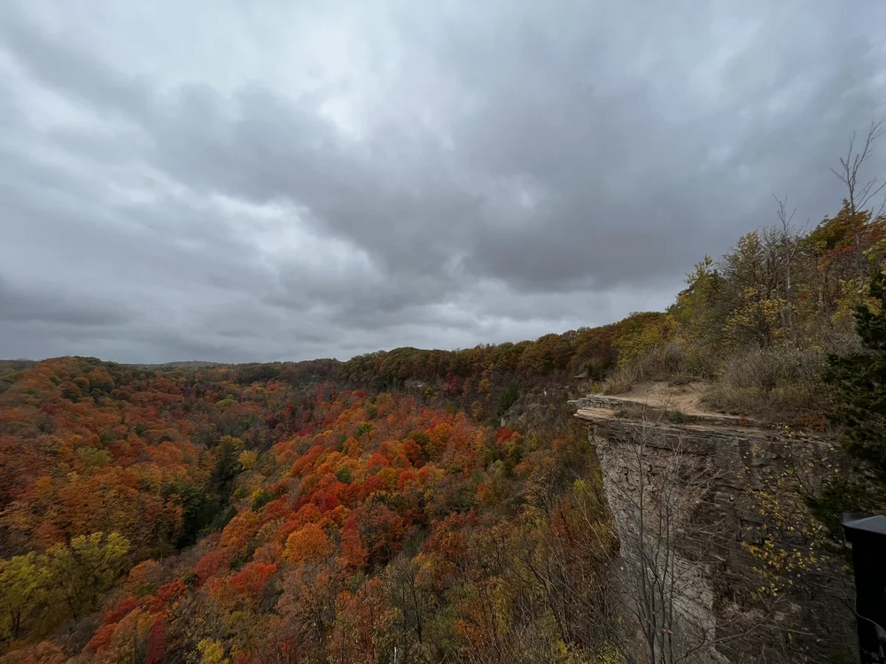 Modern Travel - A day trip to Hamilton for waterfalls, fun and food