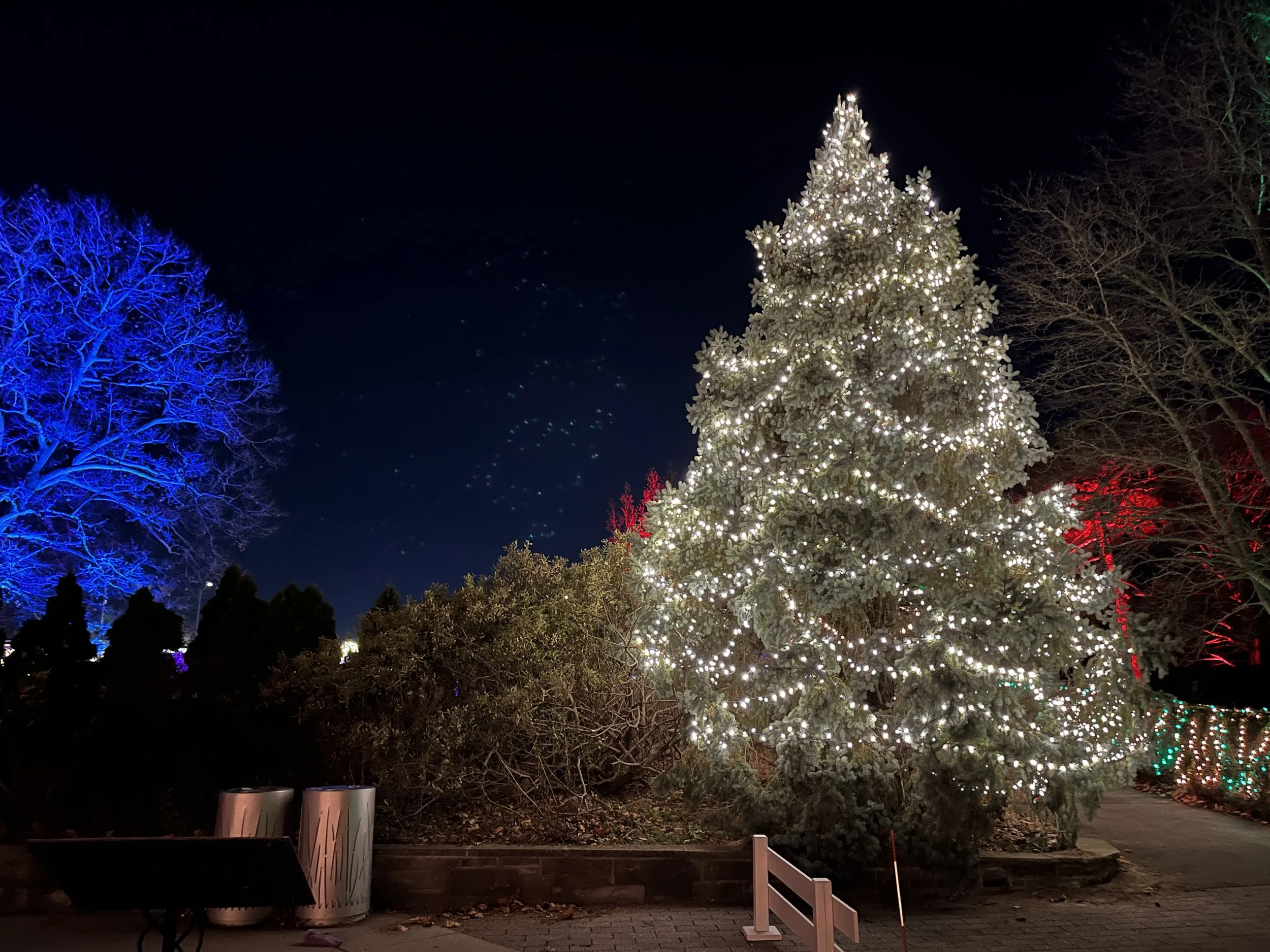 Modern Travel - A Delightful December Night Out in Burlington
