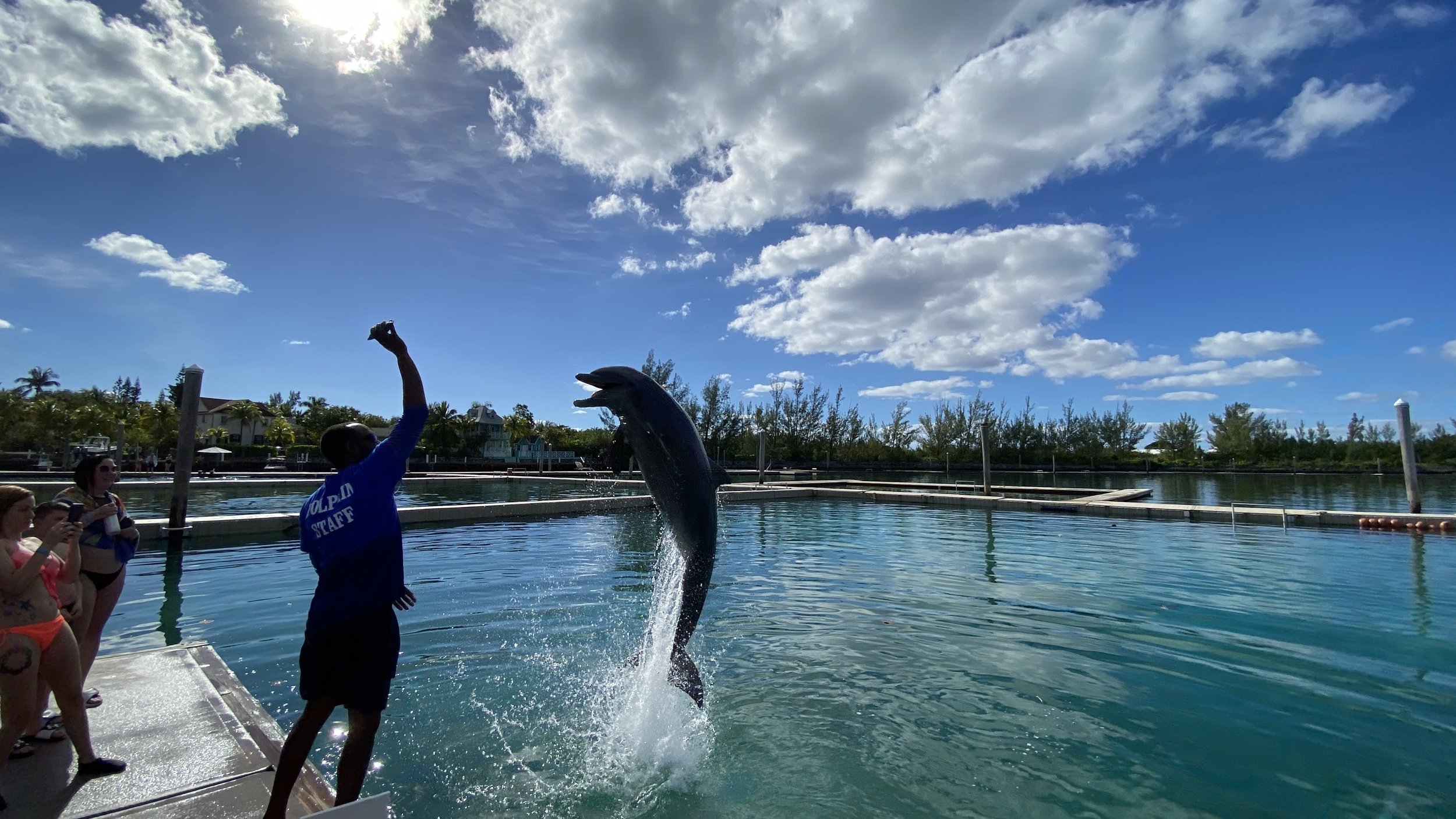 MM40 Page 16 to 21 -The Dolphin Experience at Sanctuary Bay 2.jpg