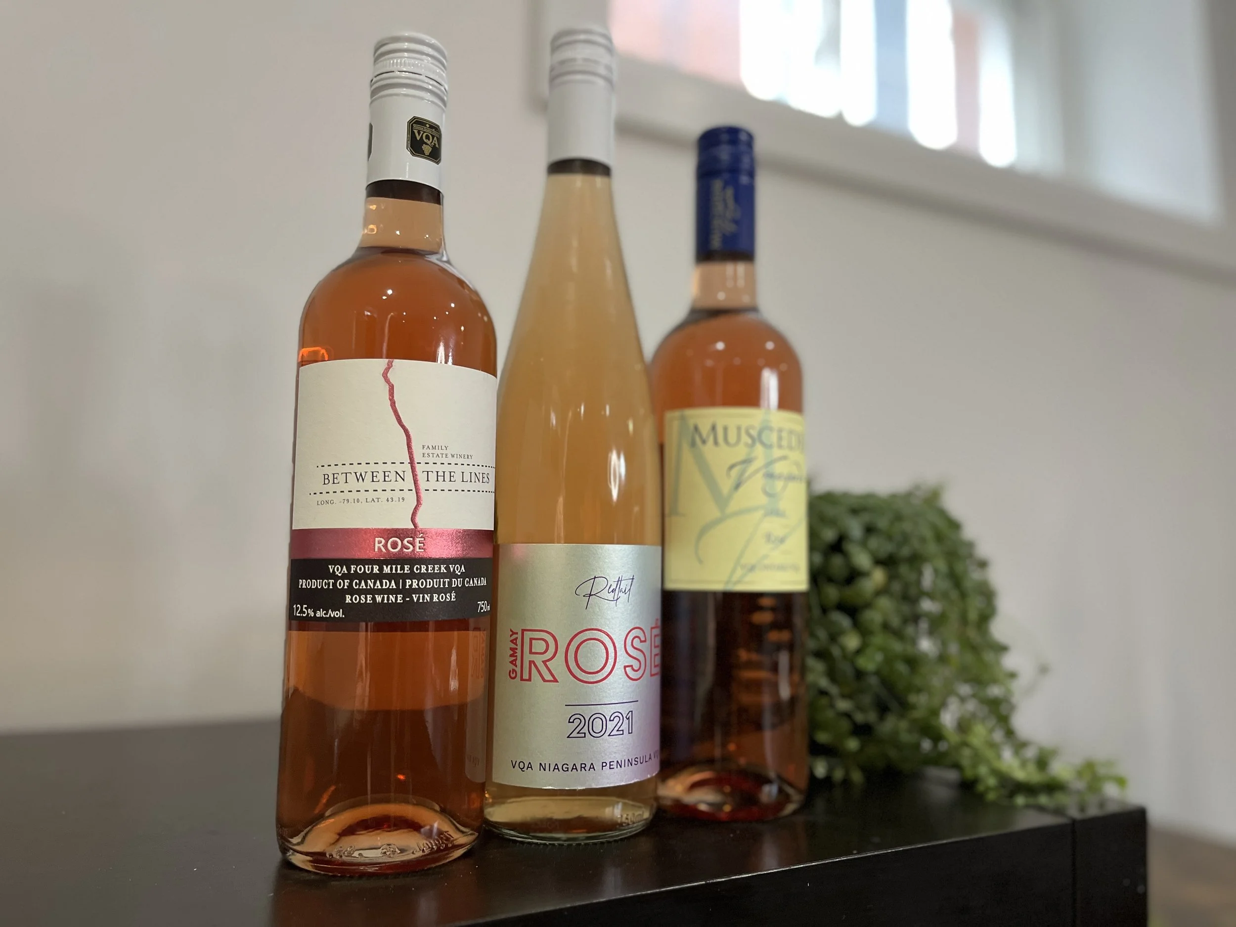 Decanting Digest - Rosé All Yay