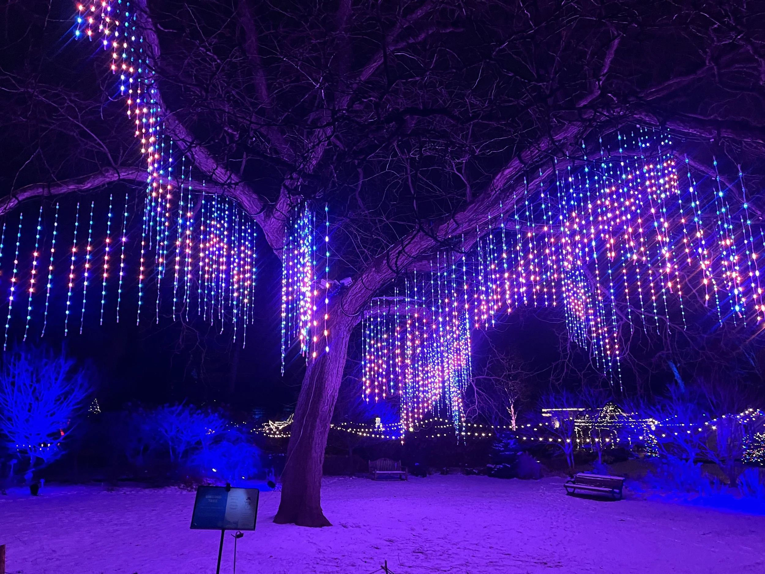 Learn About Winter Wonders at the Royal Botanical Gardens