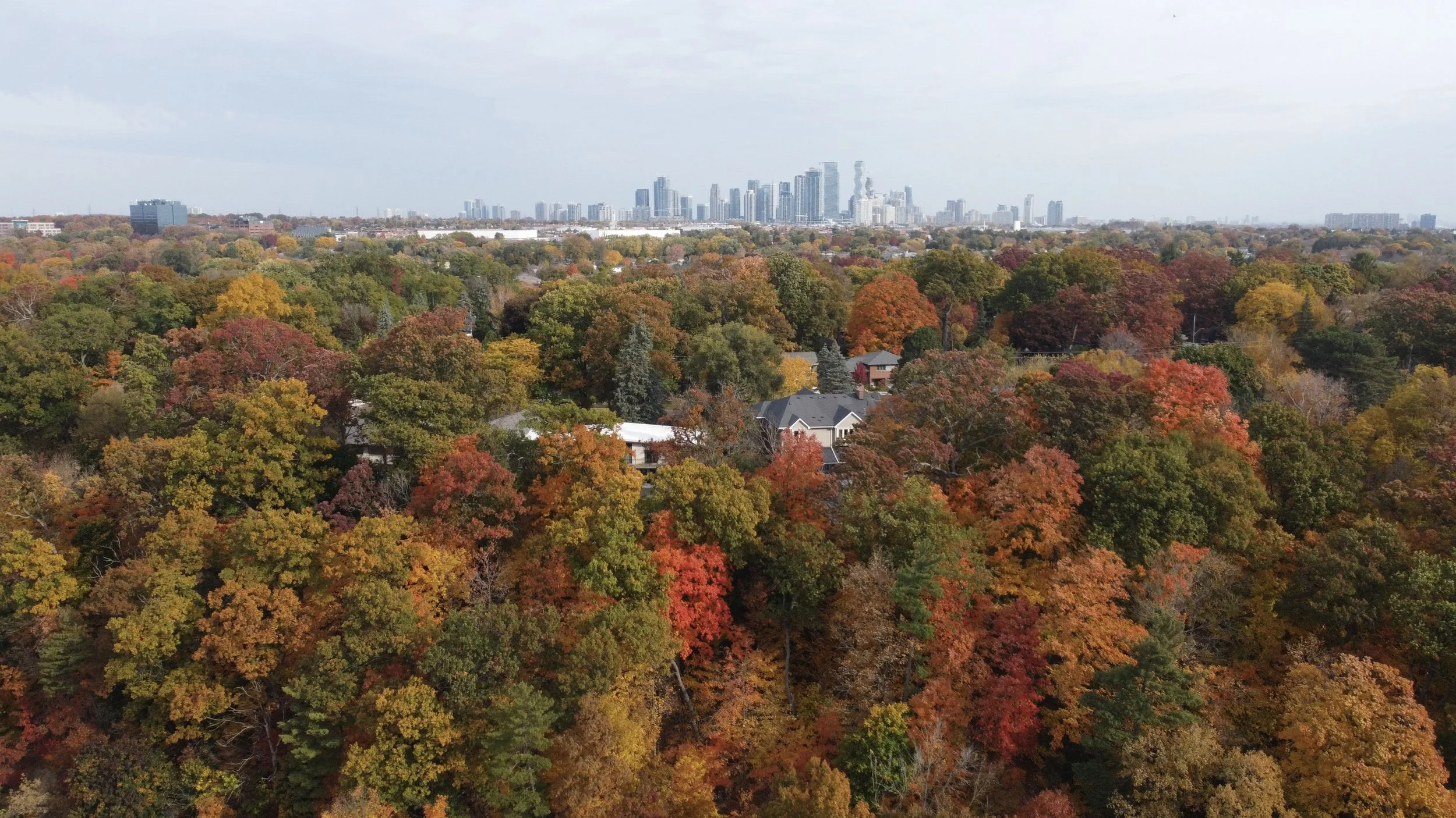 7 Fun Fall Things to do in Mississauga