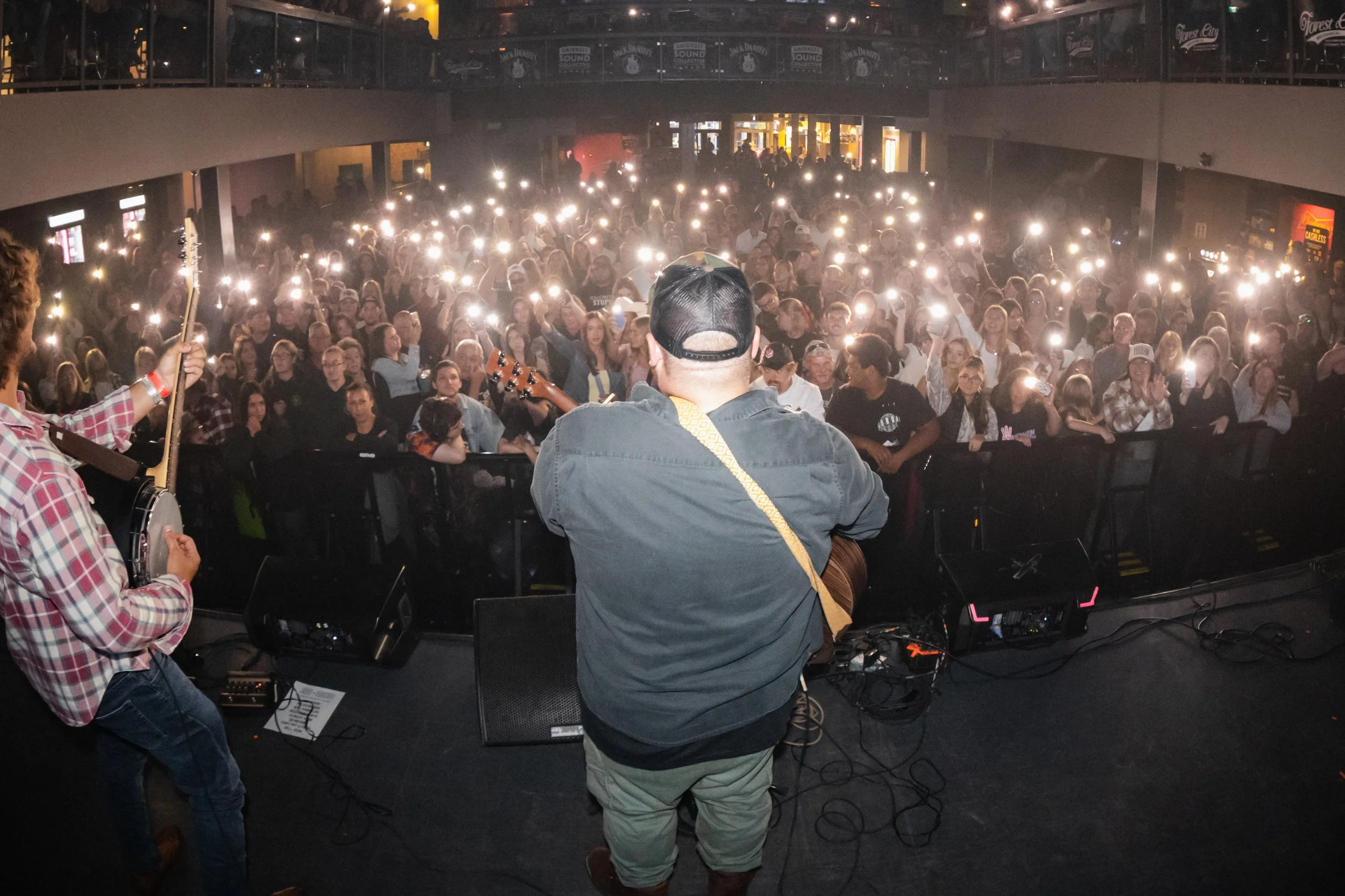 Artist Glimpse - Andy Colonico