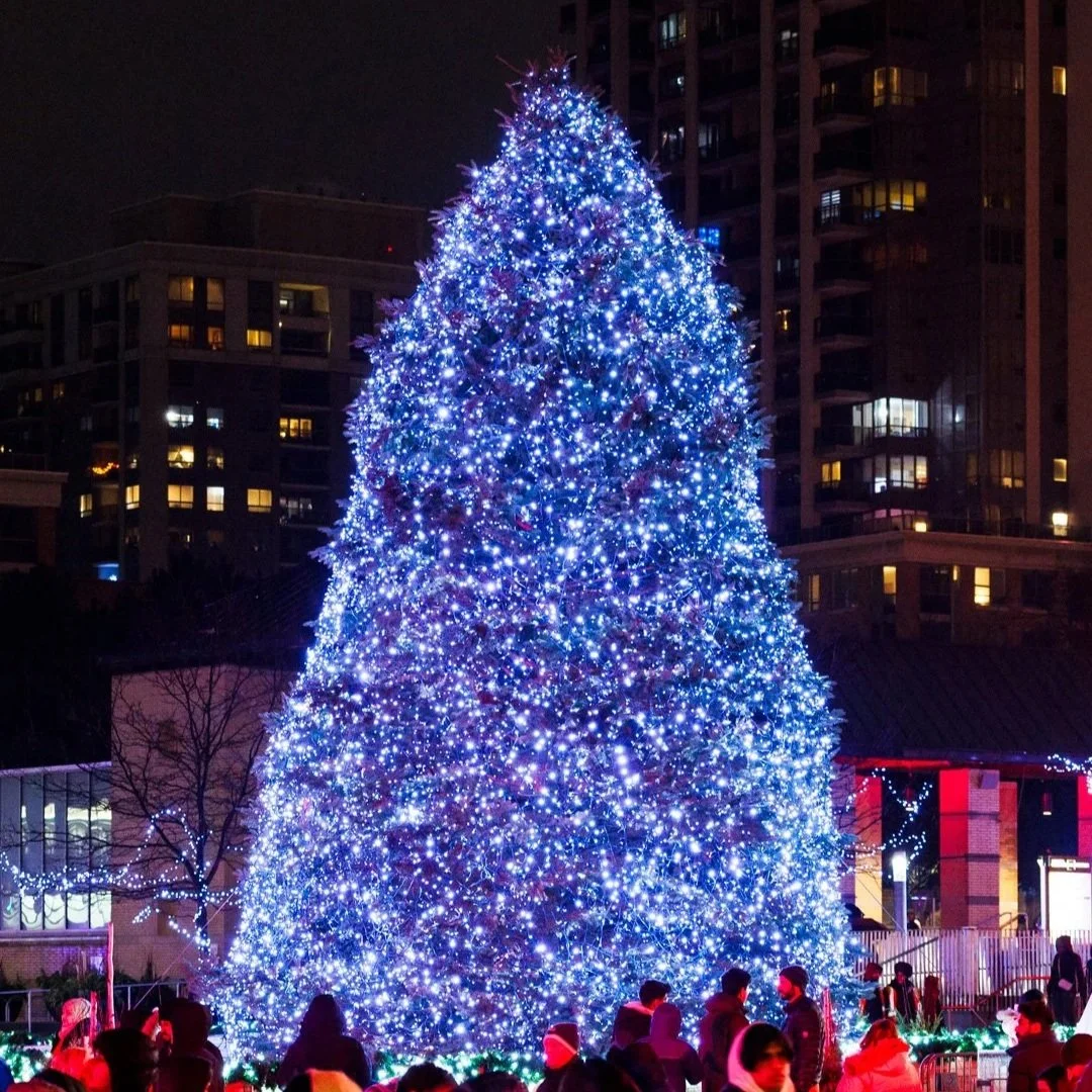 Here's Where to See Christmas Lights in Mississauga