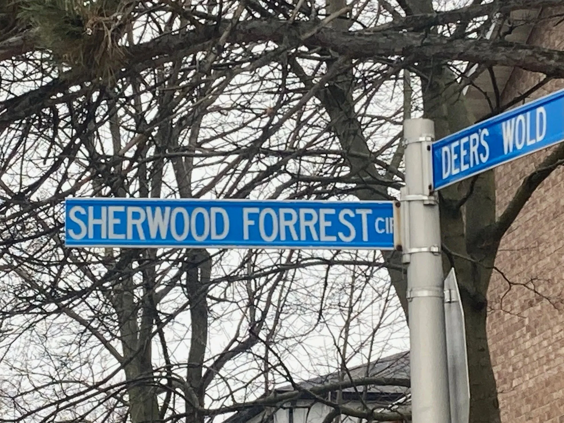 Exploring Mississauga’s Sherwood Forrest