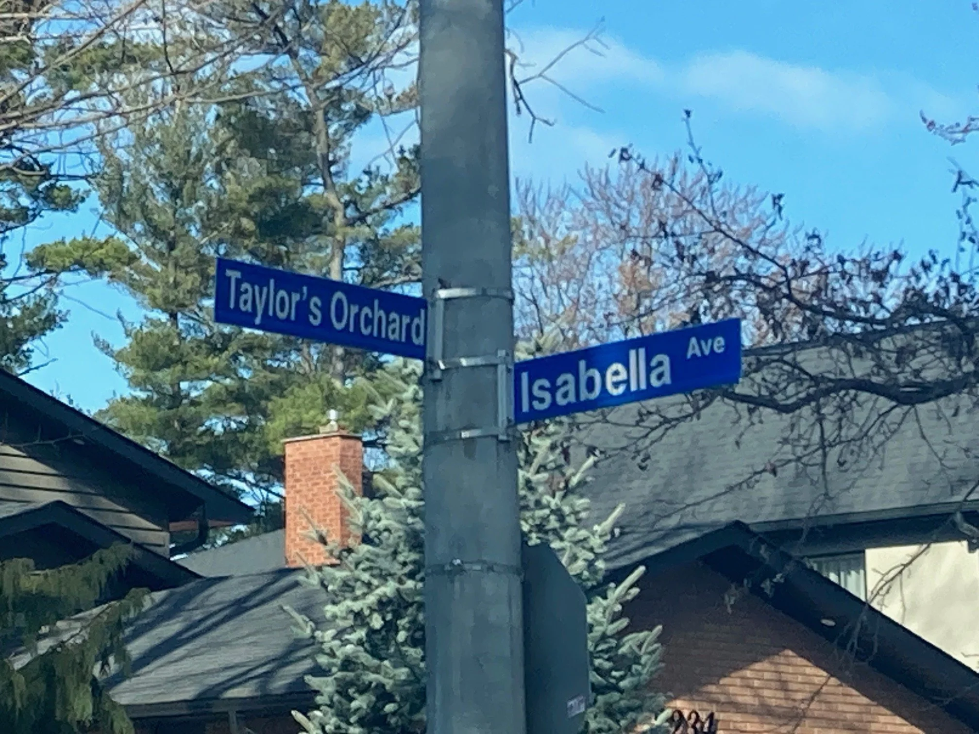The Captivating Story Behind Mississauga’s Isabella Avenue