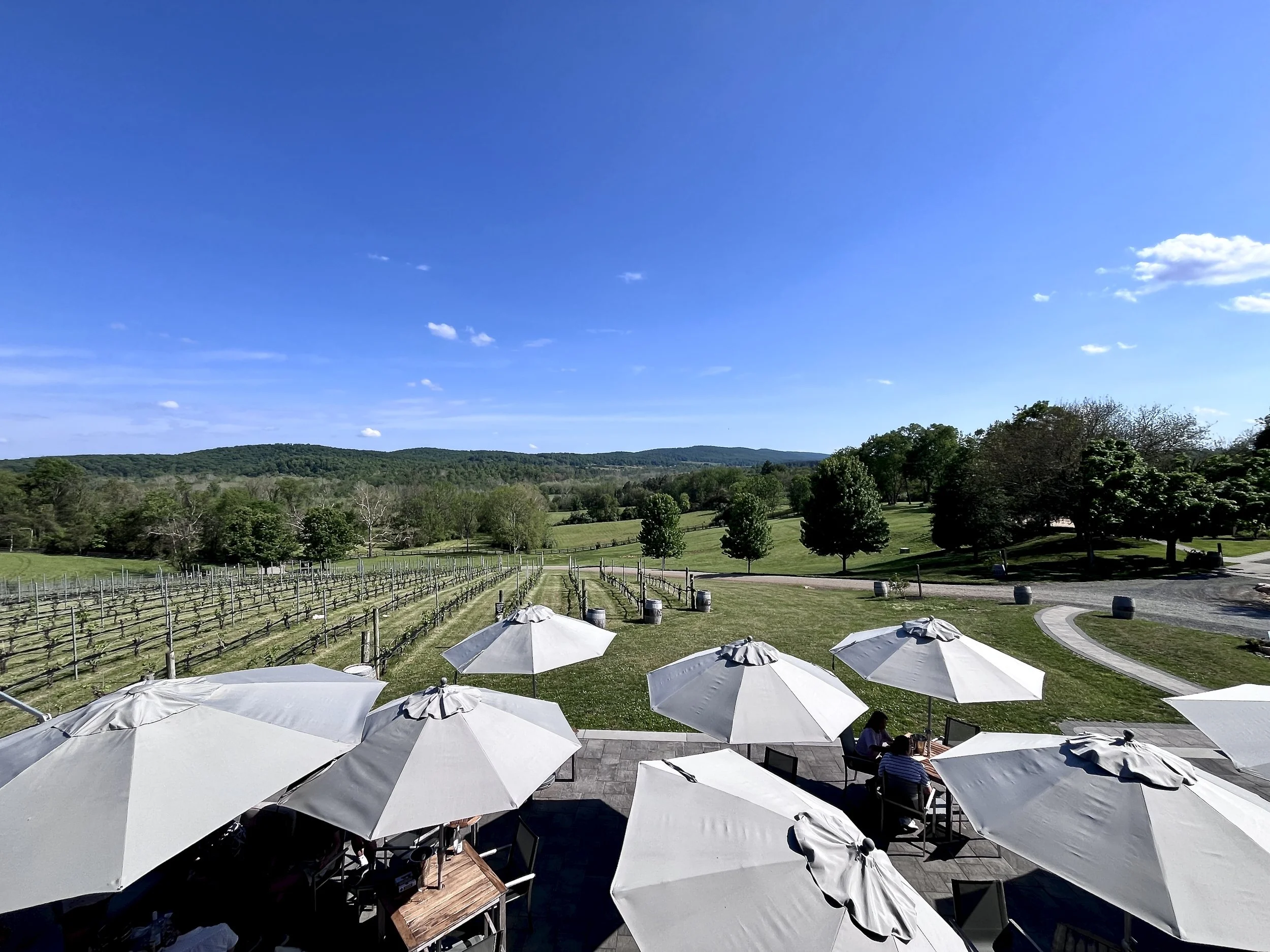 50 West Vineyards Virginia Modern Traveller 2.JPG