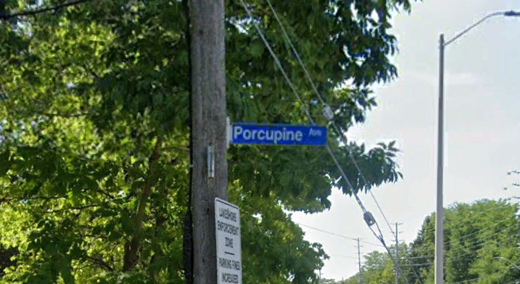 This History of Owenwood and Mississauga’s Porcupine — Modern