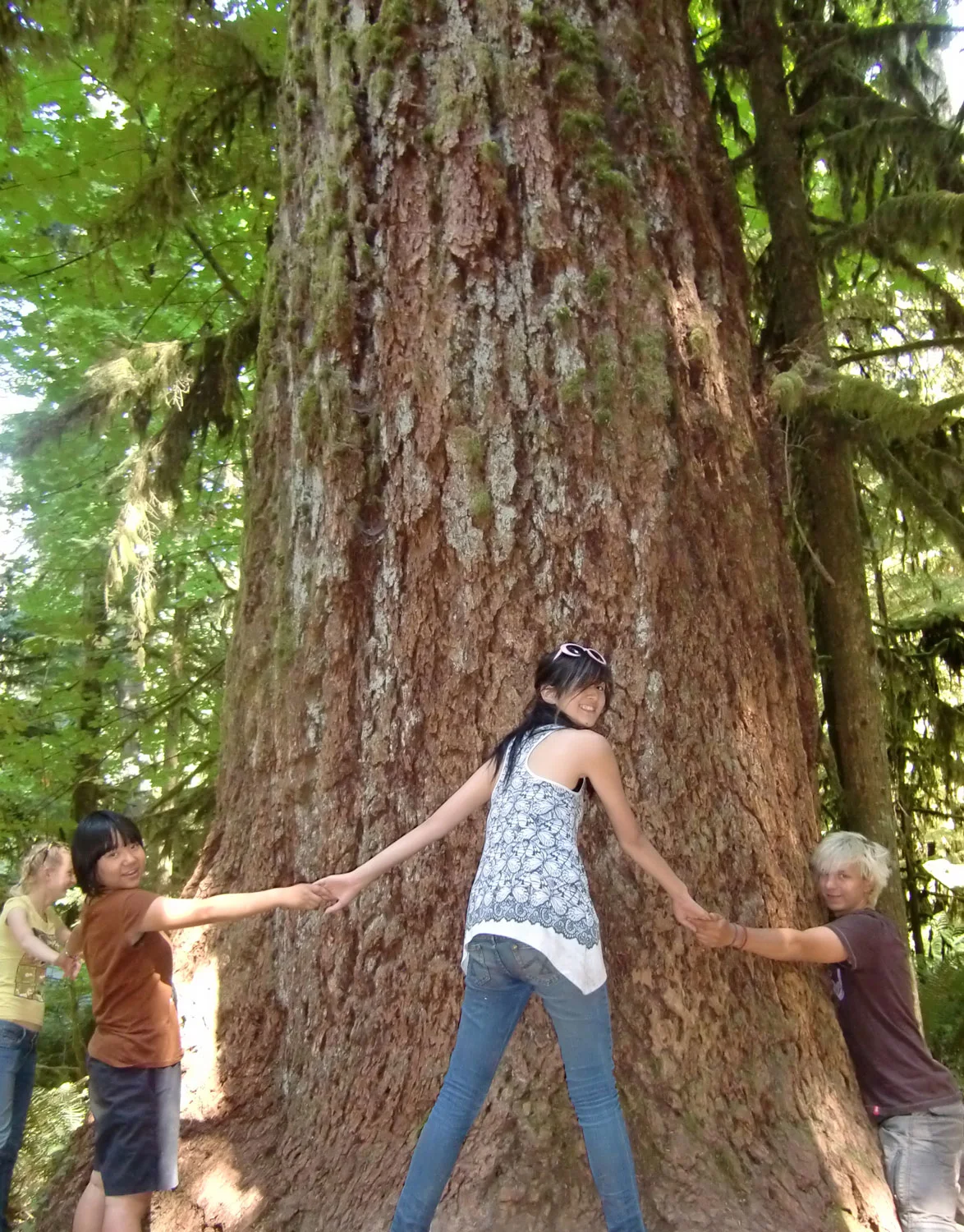 treehuggingagain.jpg