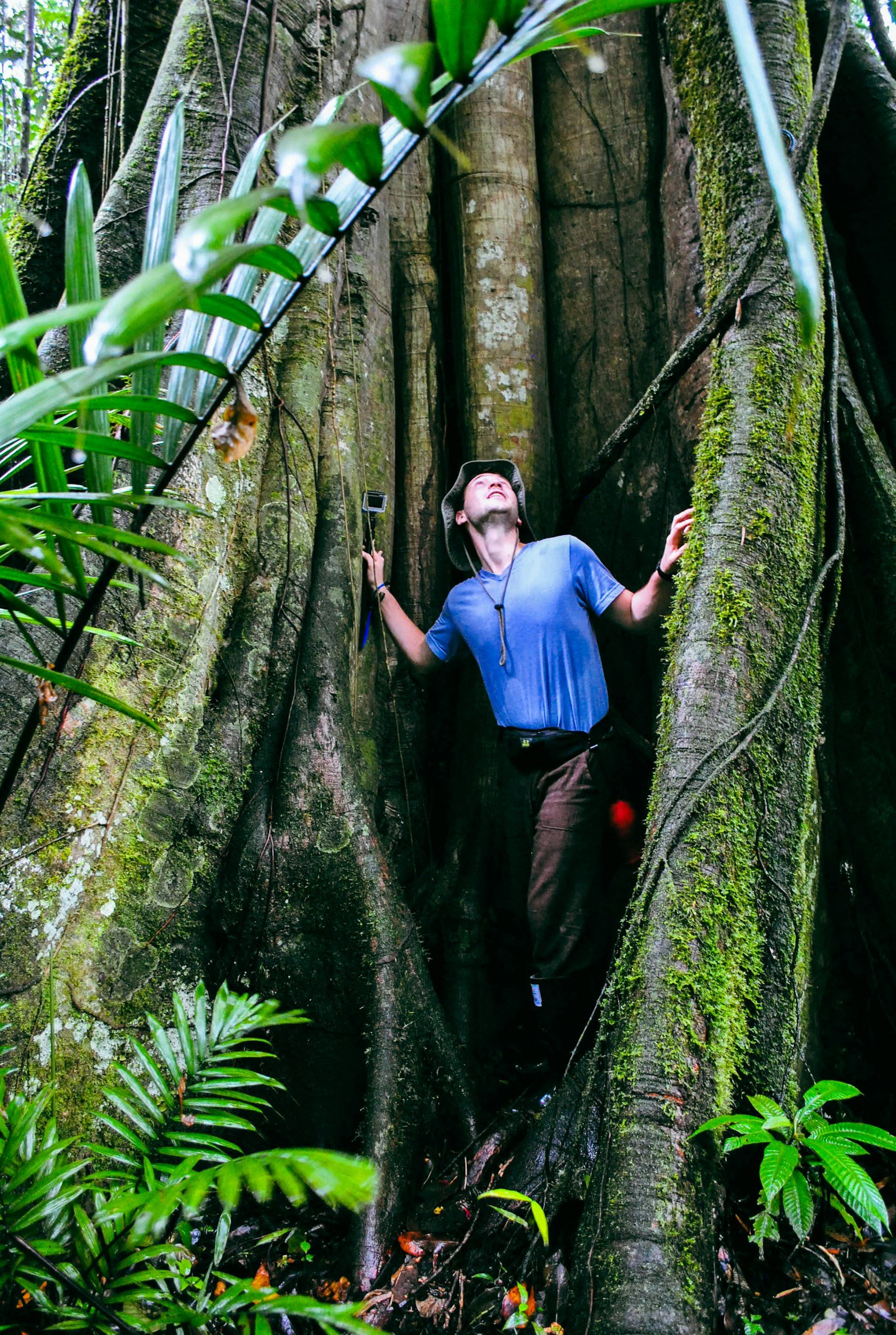 Wildlife and biodiversity in Ecuador's Amazon