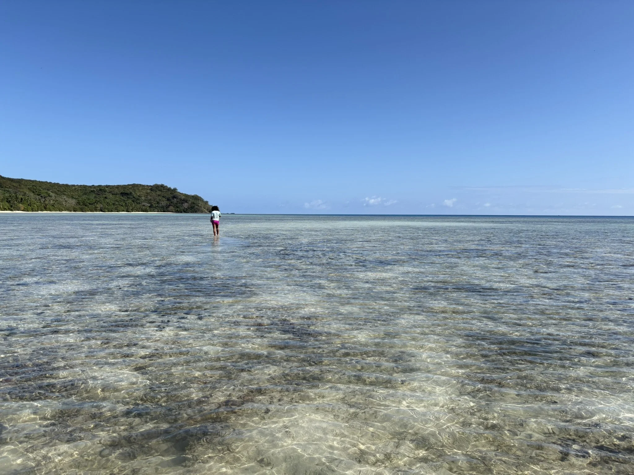 055993C9-FEDB-47DF-BD5E-DE5B0CB3346C_1_102_o.jpeg