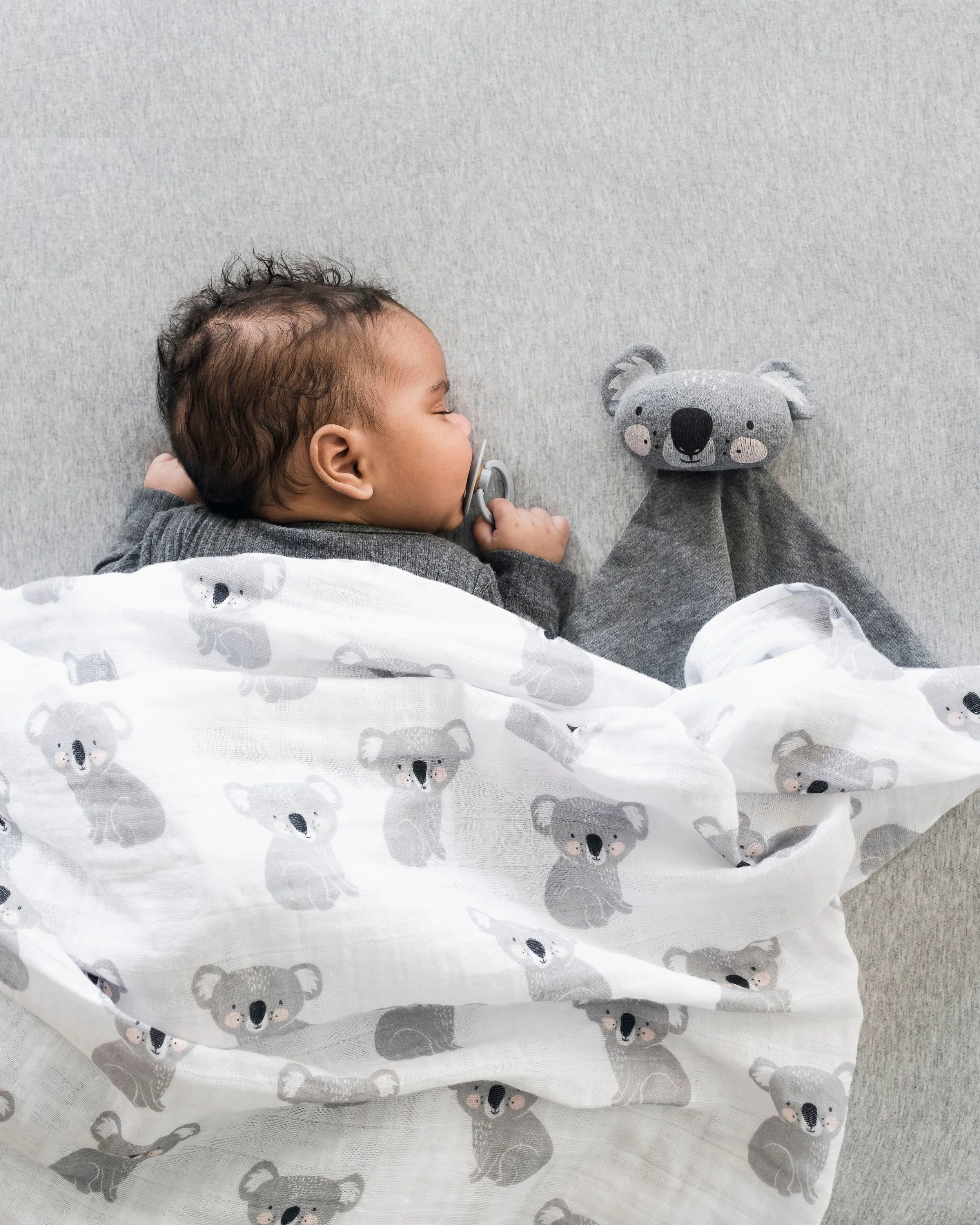 koala comforter
