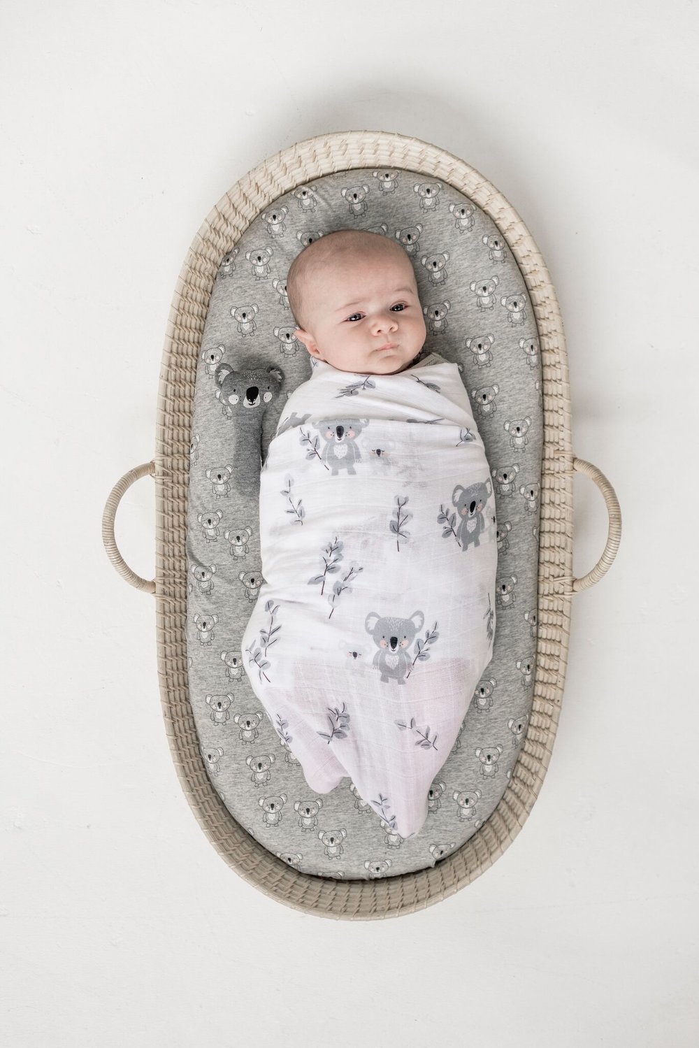 Koala bassinet online