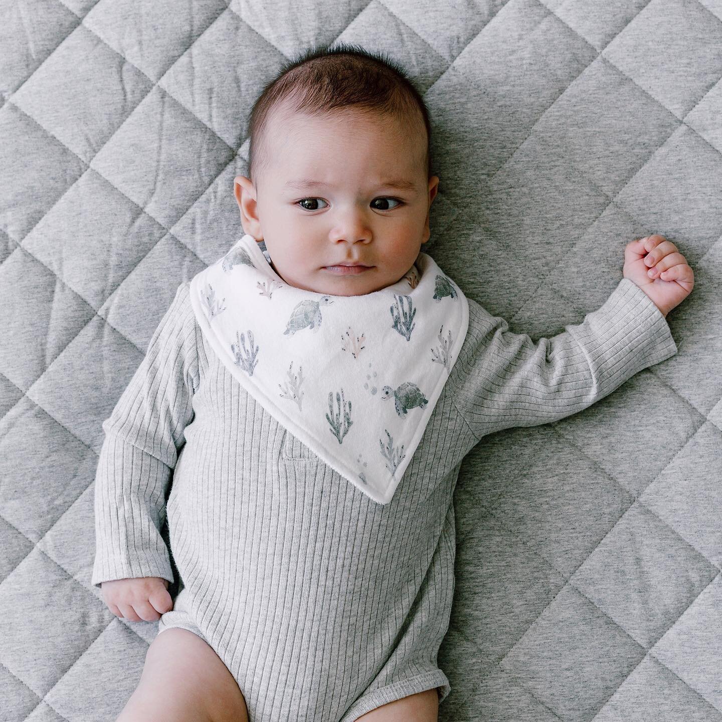 🐢| Our sweet sea turtle is proving to be a favourite! Shop online now www.misterflykids.com.au 
.
.
.
.
.
#baby #babygift #dribblebib #turtle #love #babyshower #babybib #coolkids #misterflykids