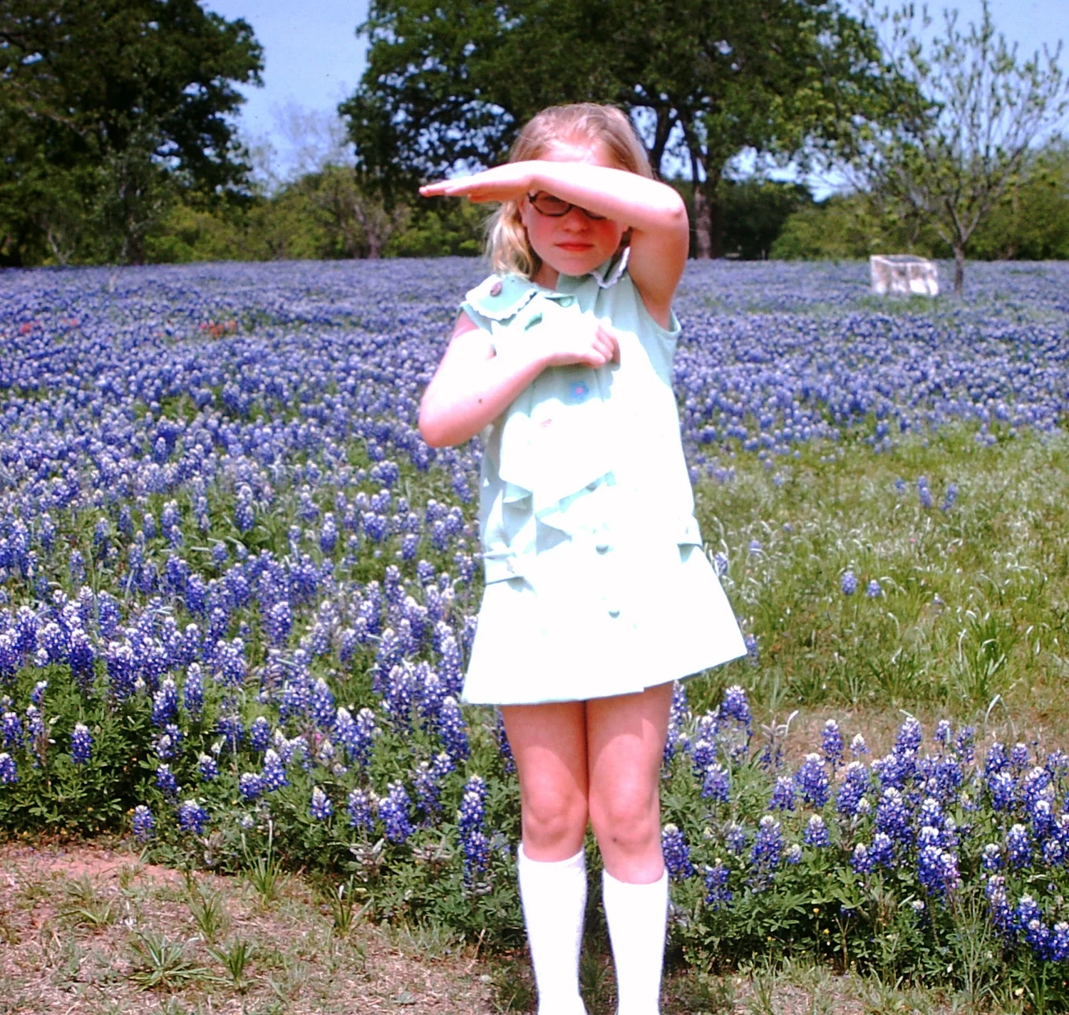Amy in Bluebonnets.jpg