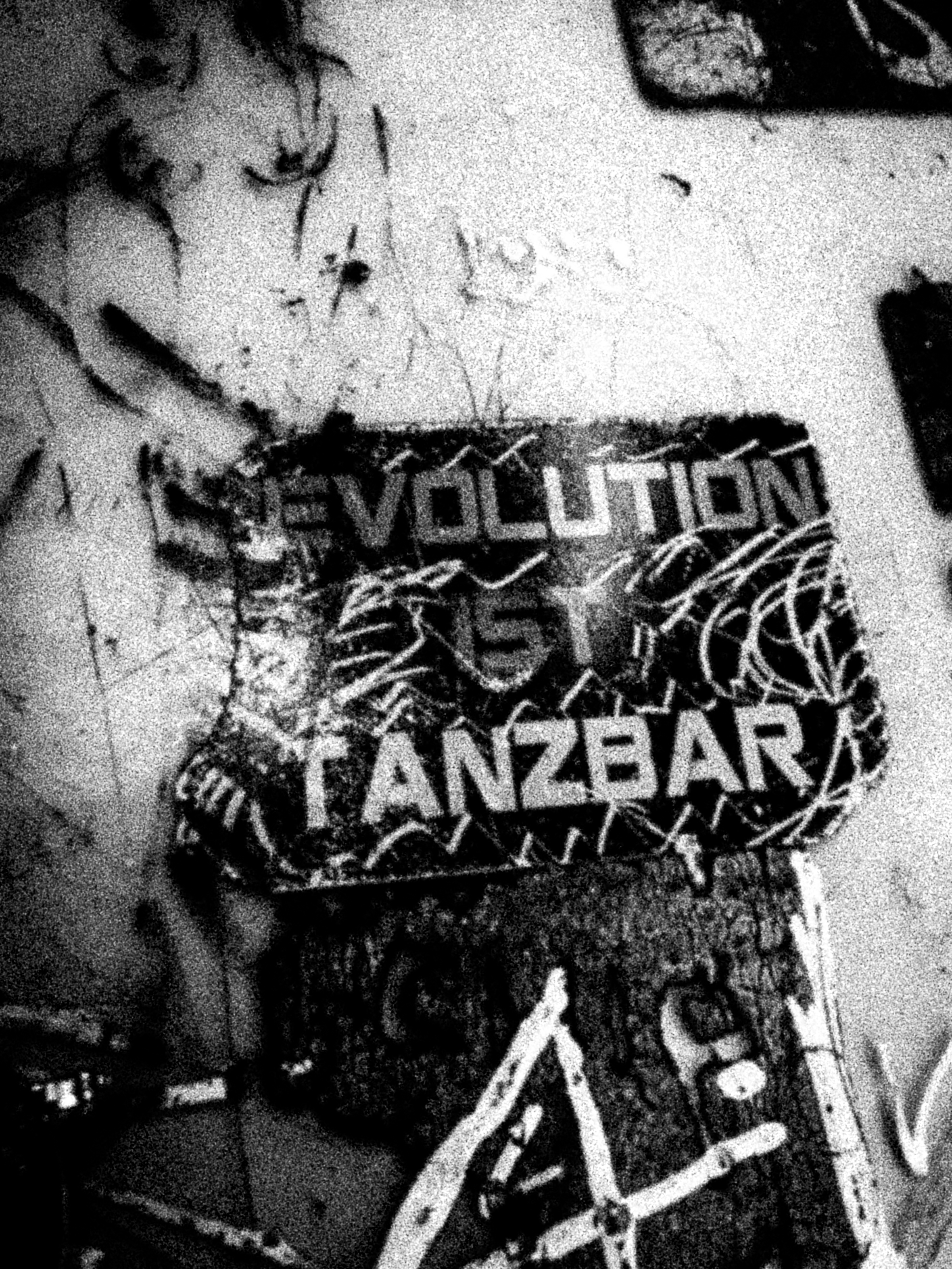 ams_evolution_ist_tanzbar.jpg