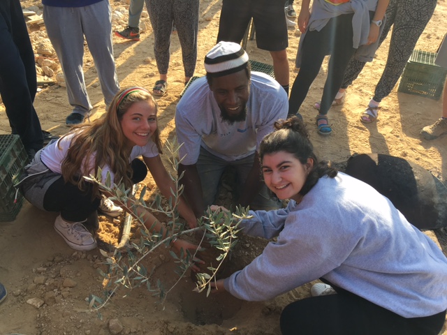 Seeds for Peace in the Negev