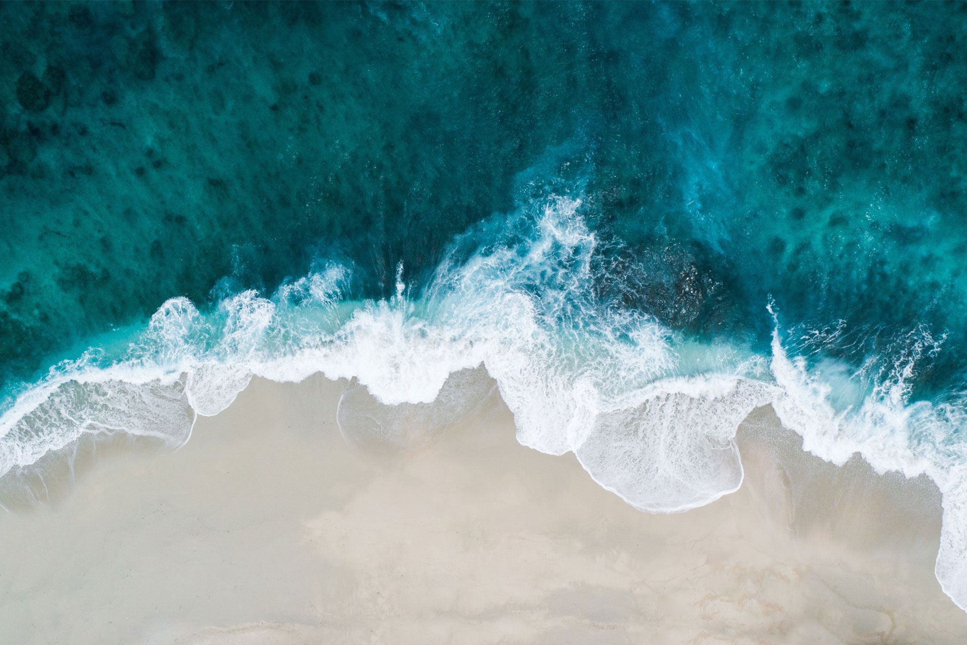 shifaaz-shamoon-370863-unsplash_1920c.jpg