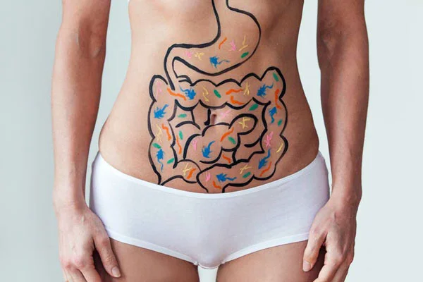 Gut-health-nbch.jpg