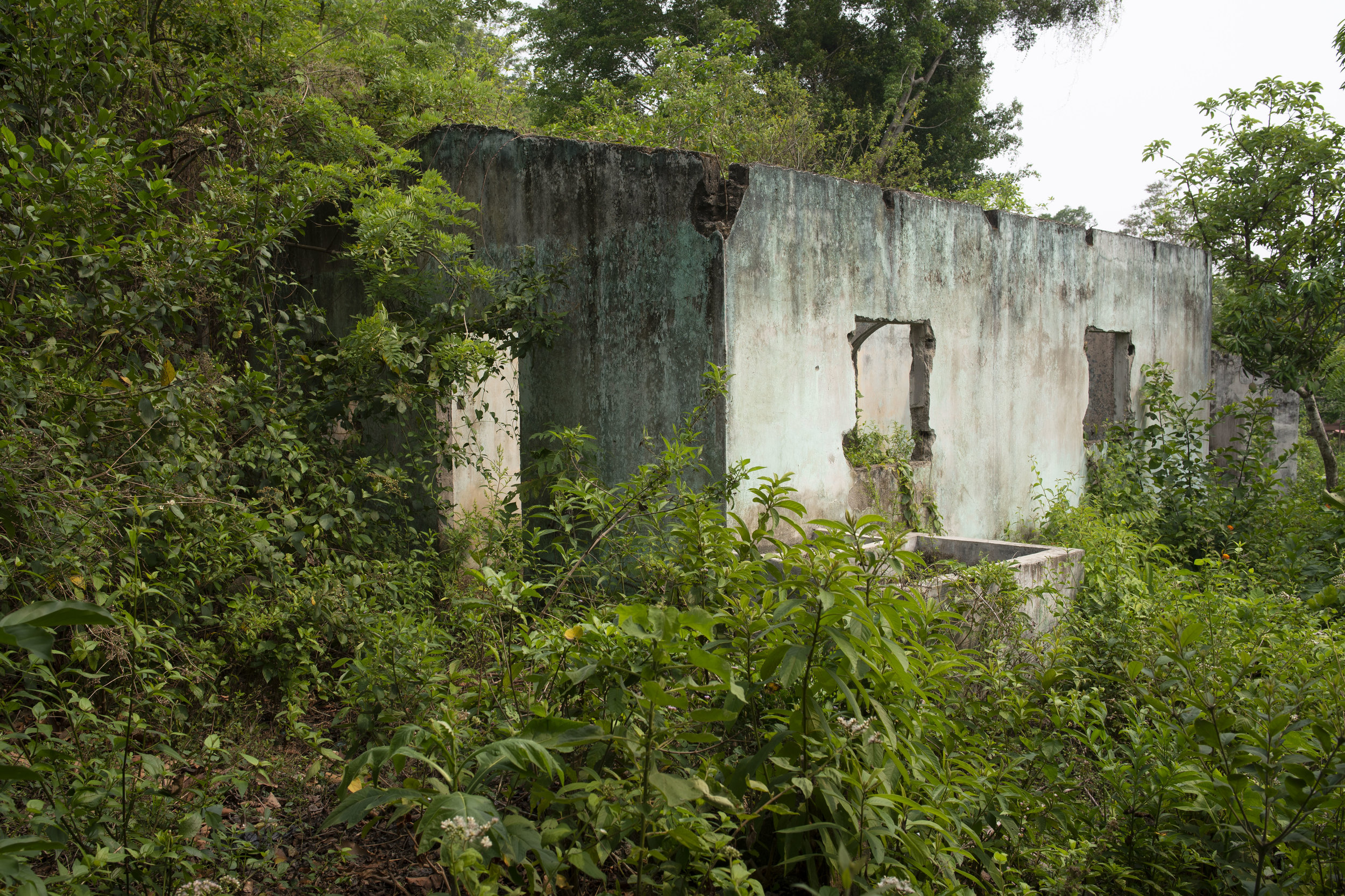  Homes abandoned by their owners fleeing gang violence. With 300 people leaving Honduras everyday, this sight is becoming more frequent throughout the country. Once left, these houses  are often looted of everything, including roofs and doors, within