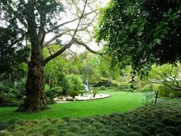 Meditation In the Gardens