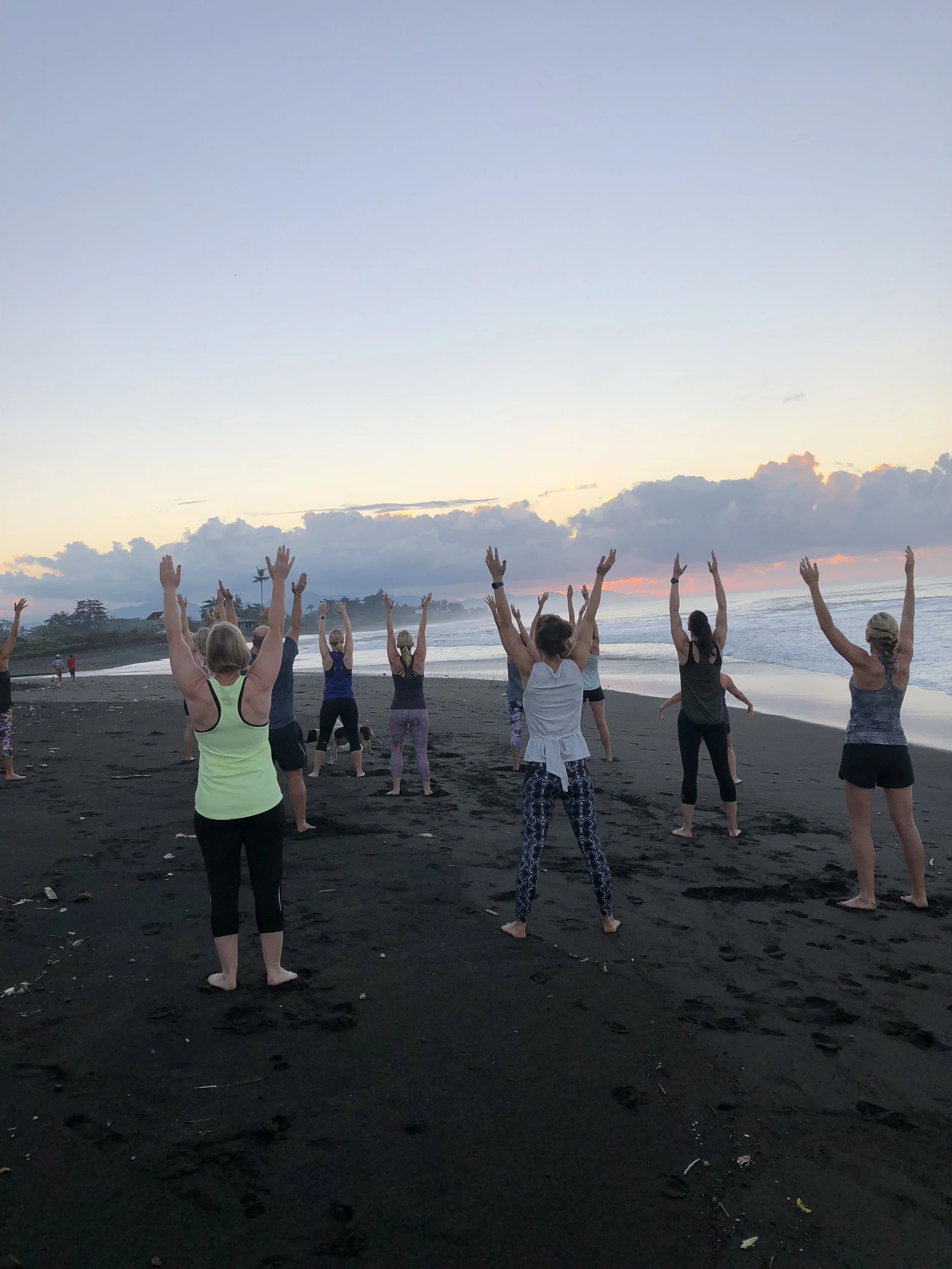 Wellness Retreat Bali 2019