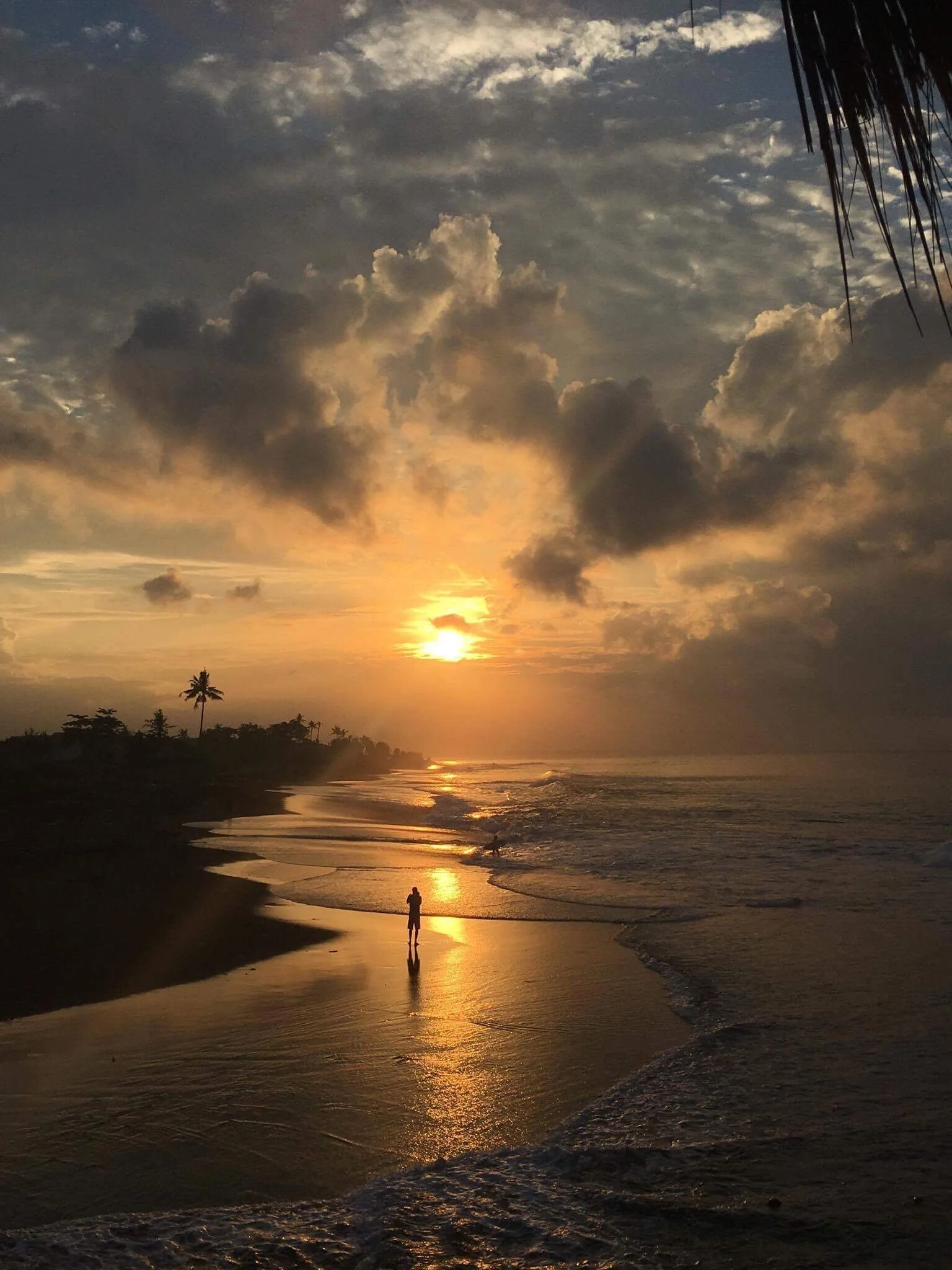 Transform 8 Week Challenge 