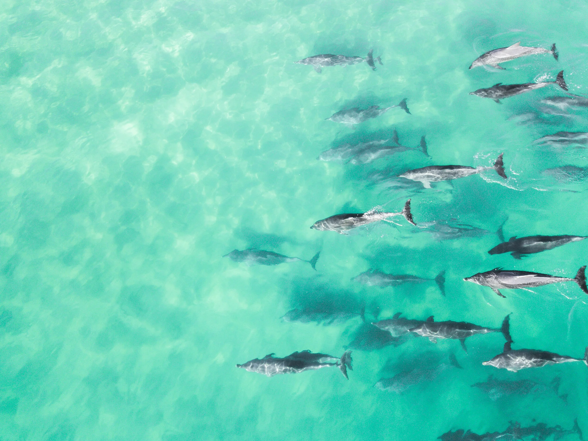DJI_0122.jpg