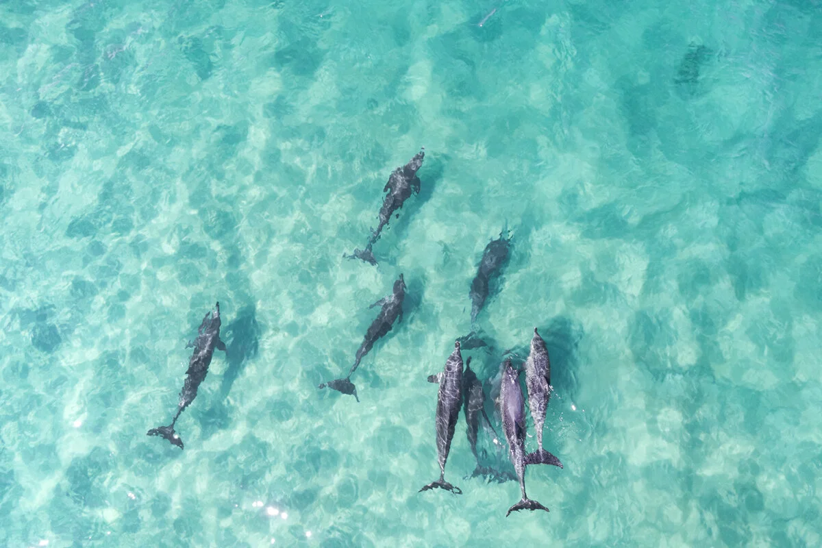 DJI_0853-web.jpg
