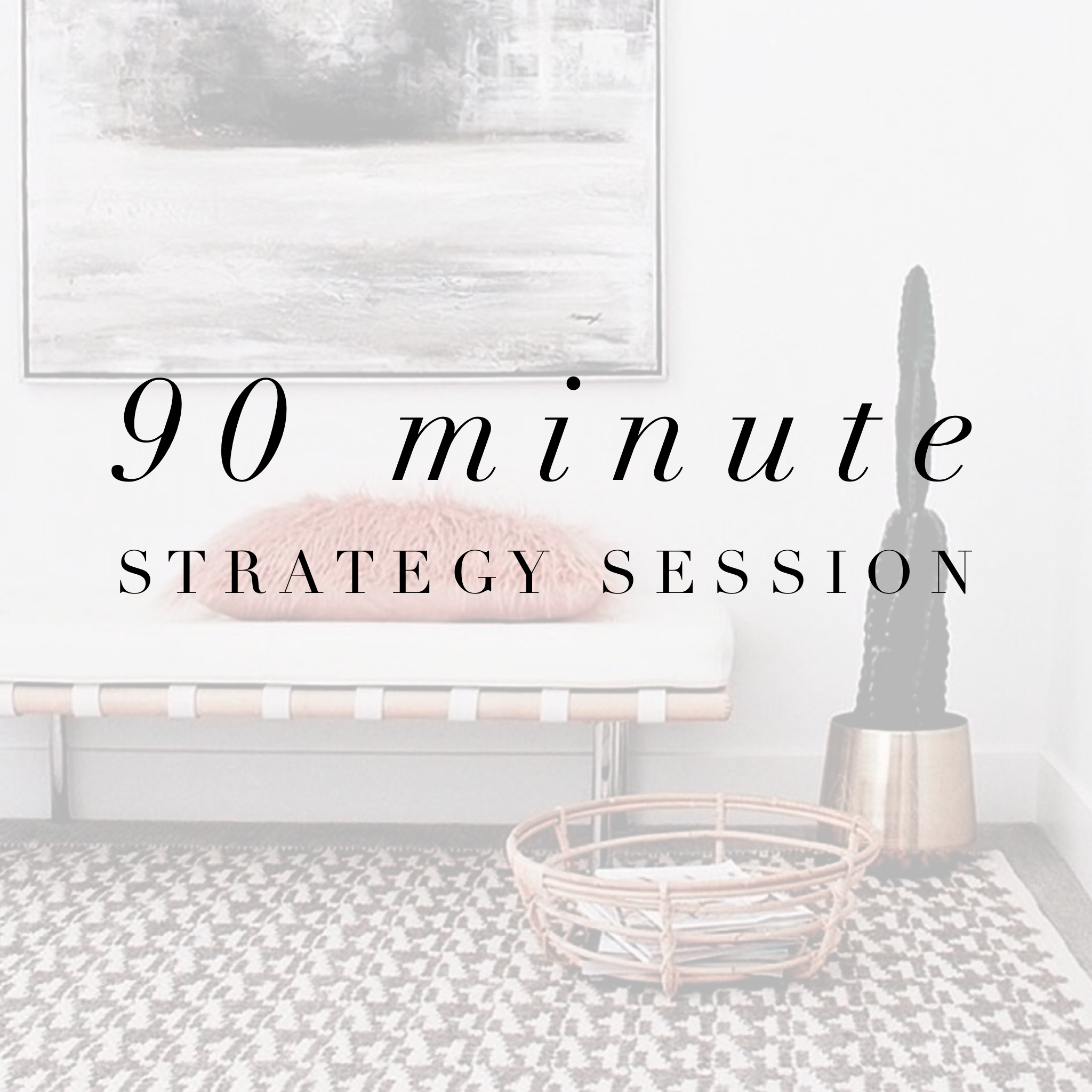 90 Minute Strategy Session