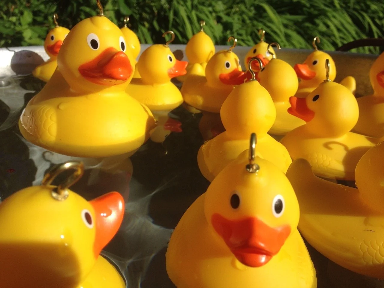 Hook the Duck Team Building Fete Game Hire