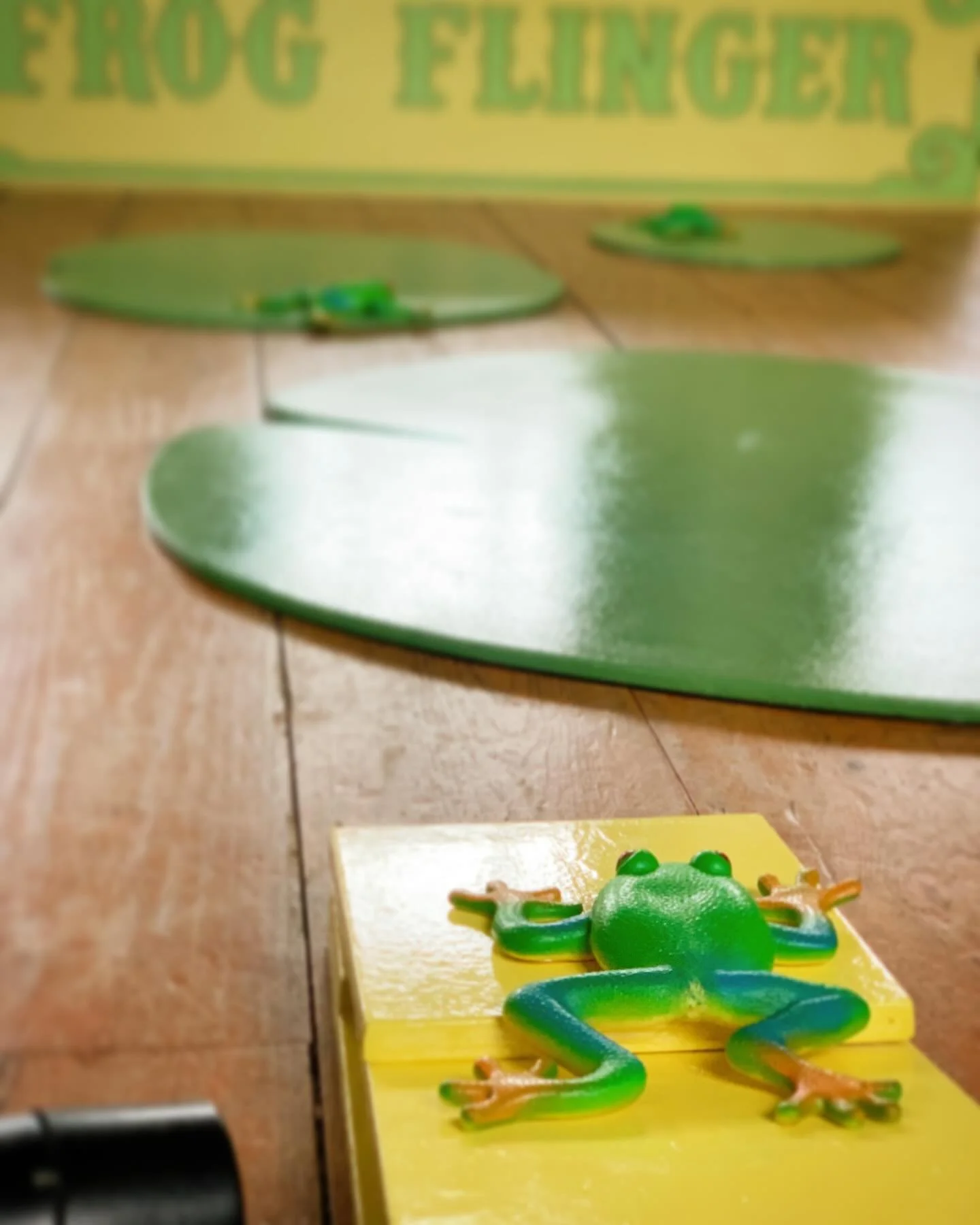 Get ready to fling that frog with our new addictive game! Perfect for pta events, fundraisers, team building, parties and more! Check this out as well as other fab games www.valentinahire.com/fete-games 
#fundraiser #fetegames #summerfun
.
.
.
.
.
#v