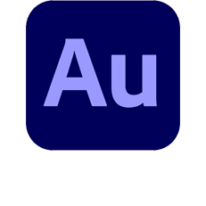 Products Logo Audition.png