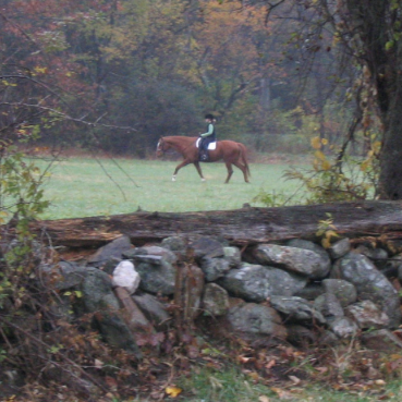 My daughter with her horse They both express so much trust, grace and love.